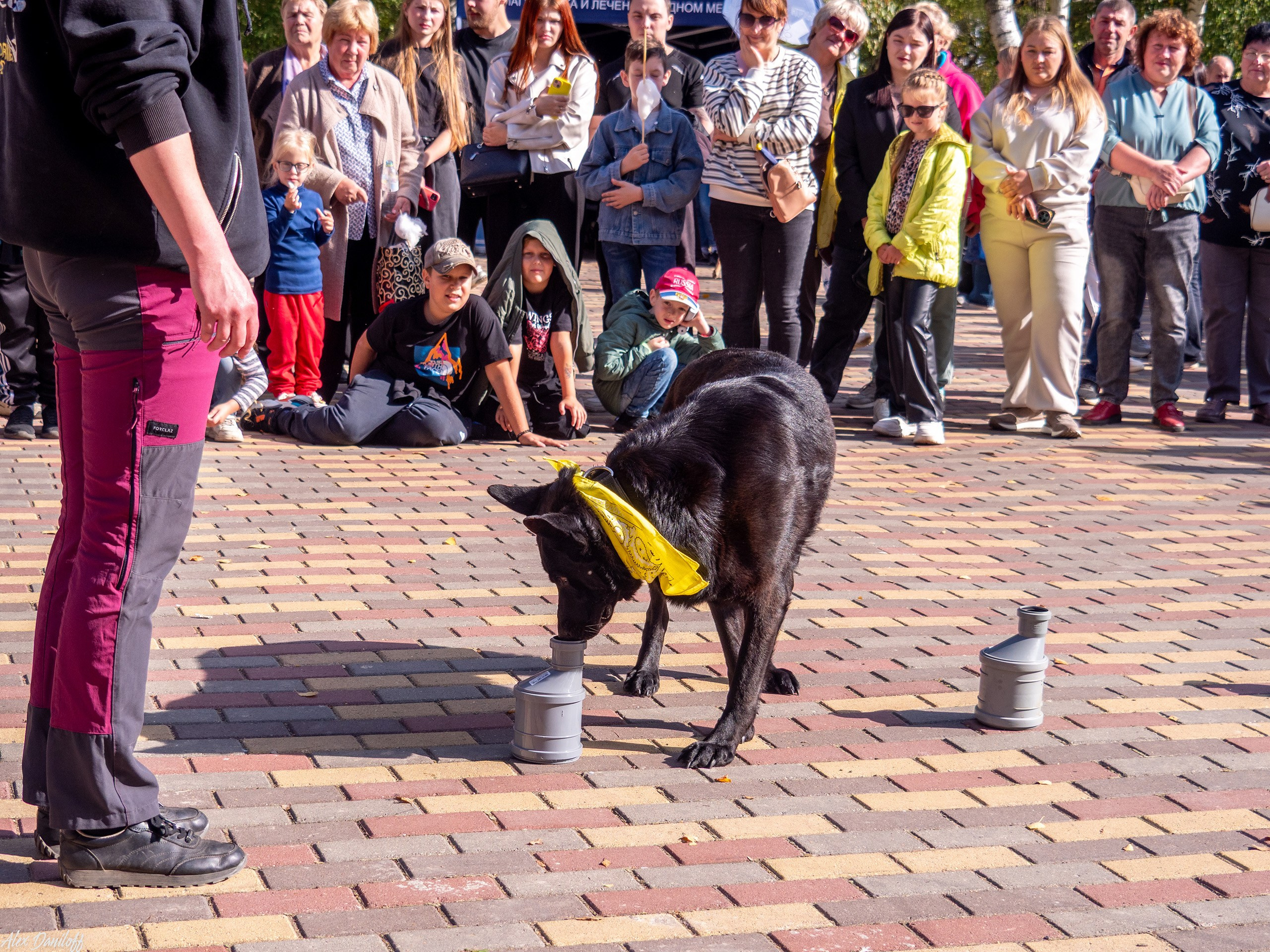 Обнимака 2025. Муром-Инфо. Новости культуры, образования, спорта в городе Муром