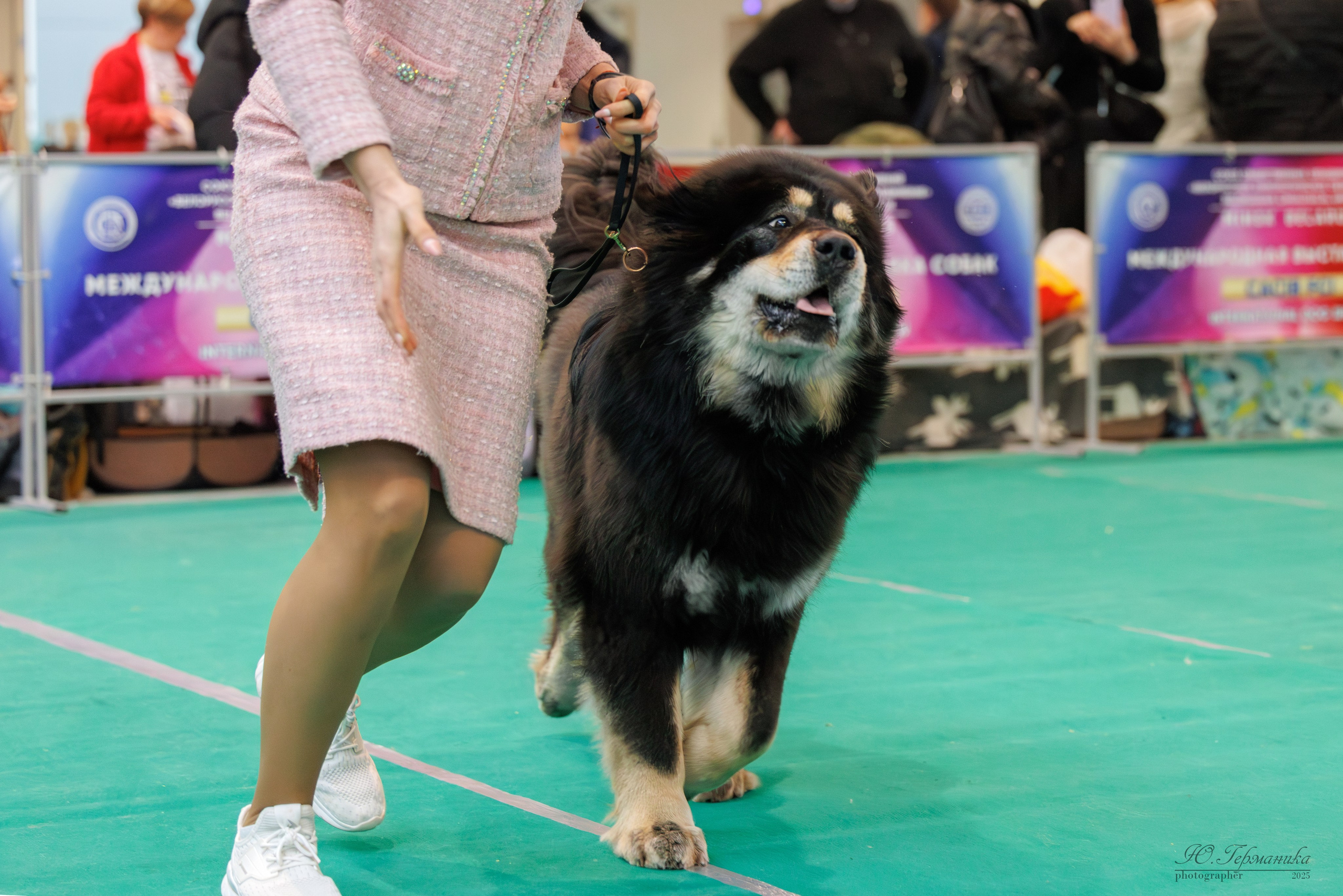 Минск 1-2.03.2025. Фотограф-анималист Юлия Германика