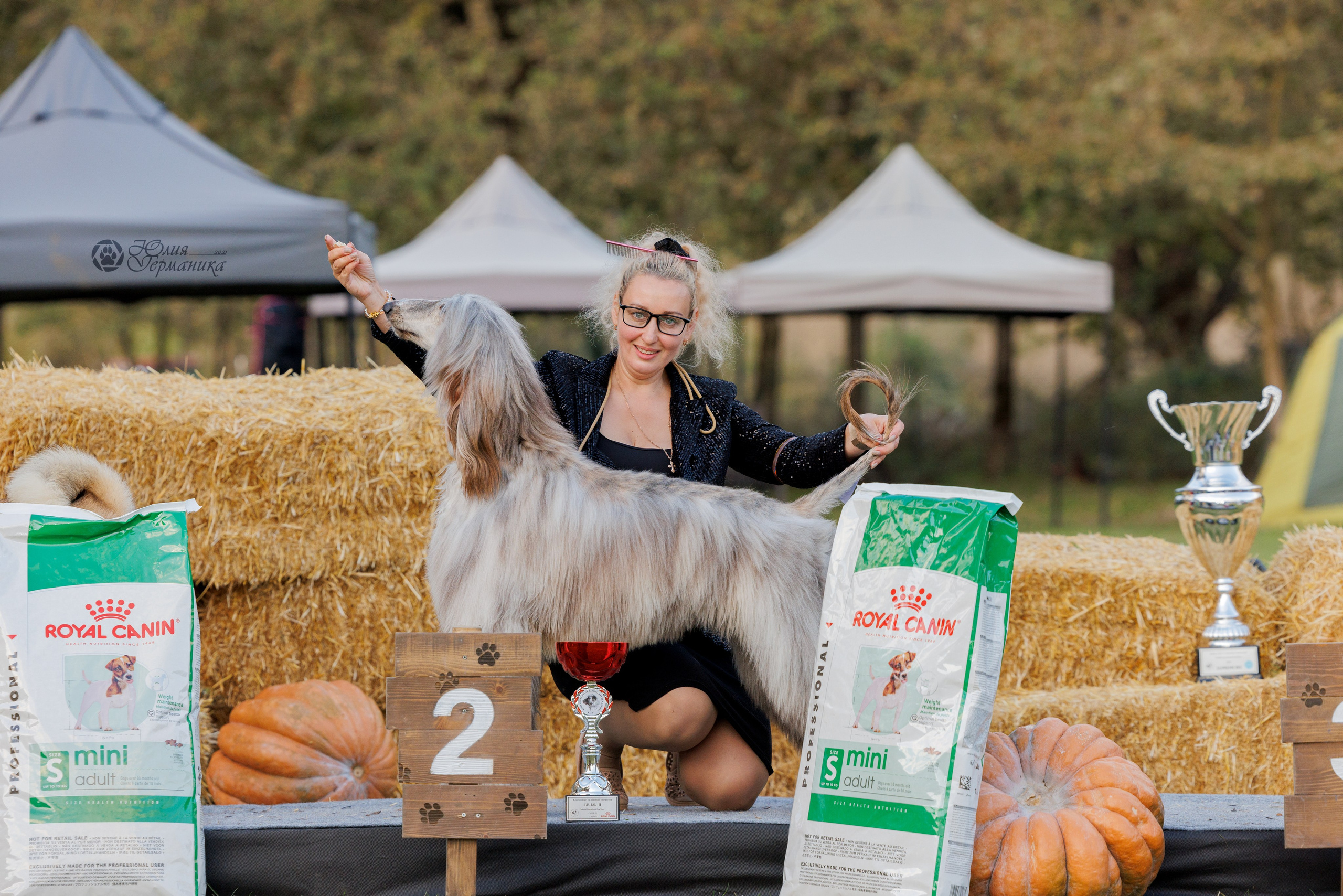 Туция,Стамбул 2хCACIB 26-27.10.24. Фотограф-анималист Юлия Германика