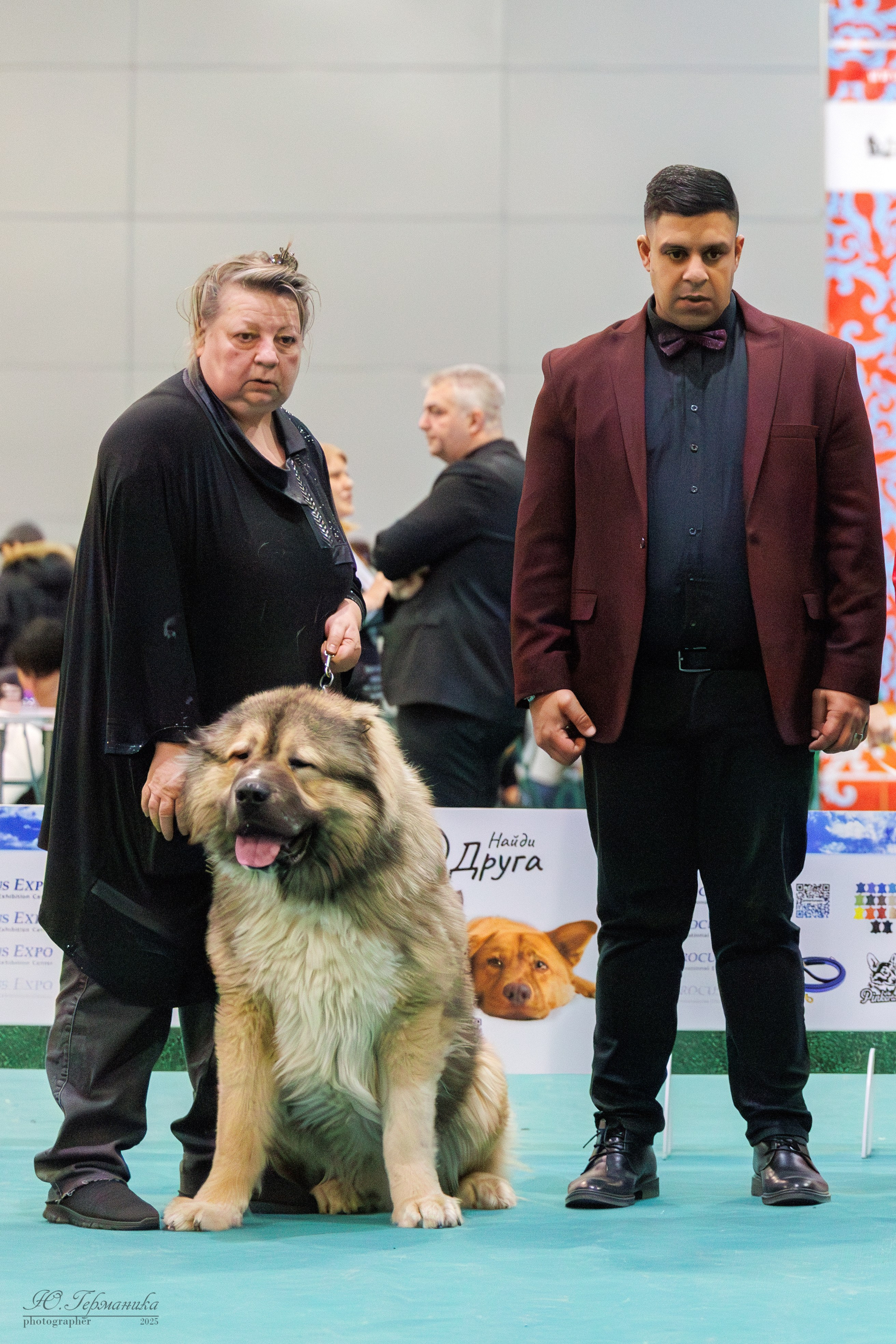 Гран-При 8.02.2025 и Крокус 09.02.2025. Фотограф-анималист Юлия Германика