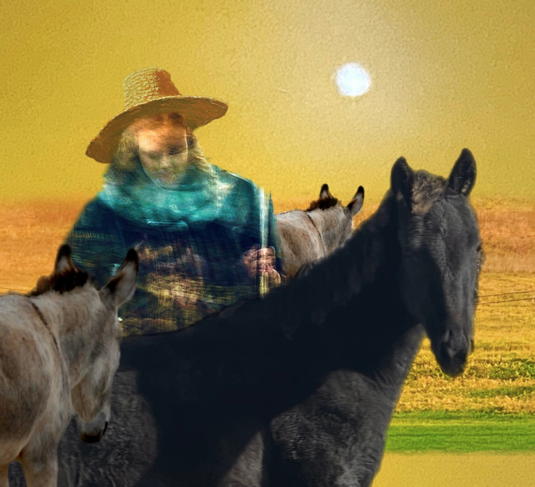 В городе N (2025). Liudmila Bogdanova Photography | Mila Dozhd