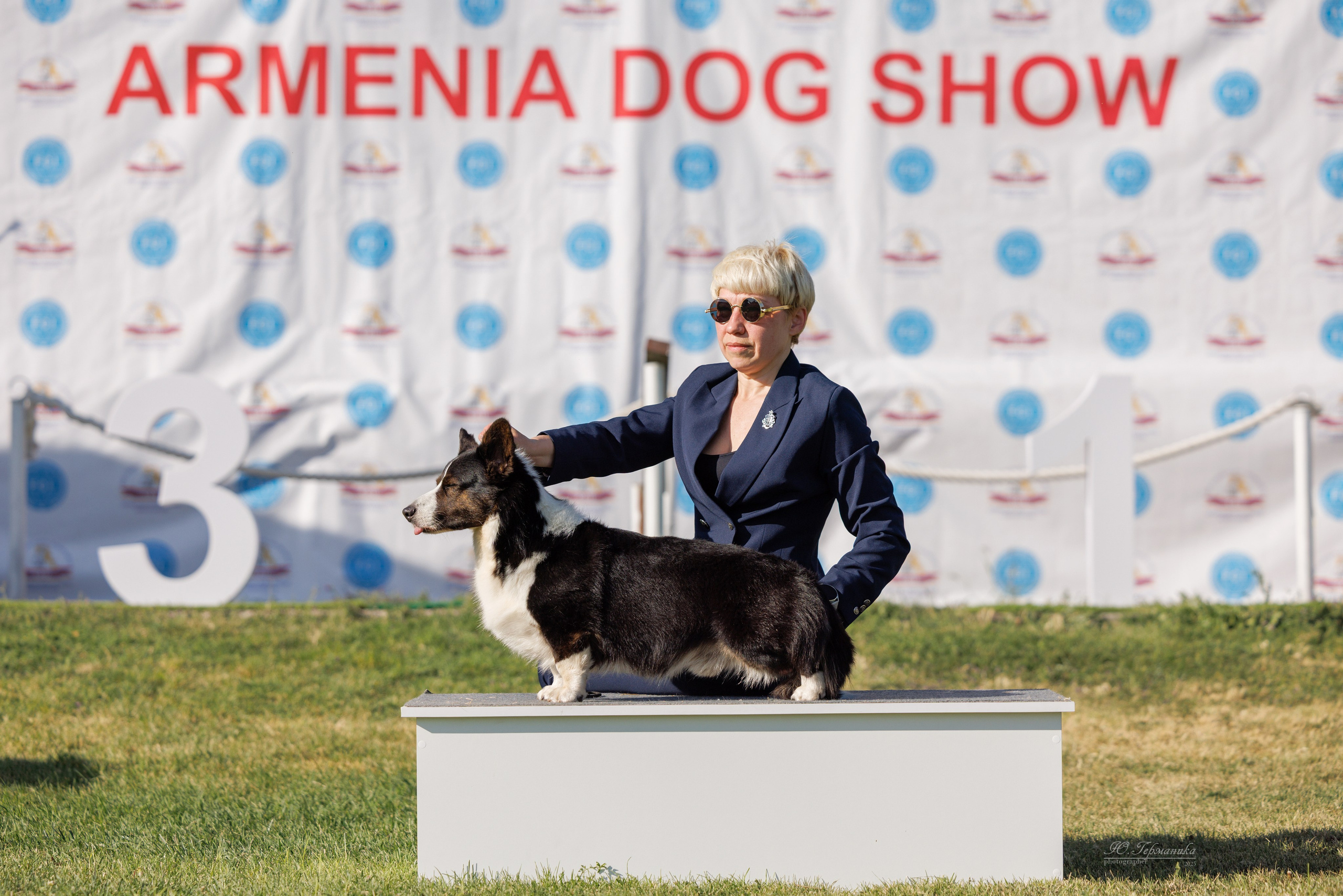 Ереван 3хCACIB 23-25.06.2025. Фотограф-анималист Юлия Германика