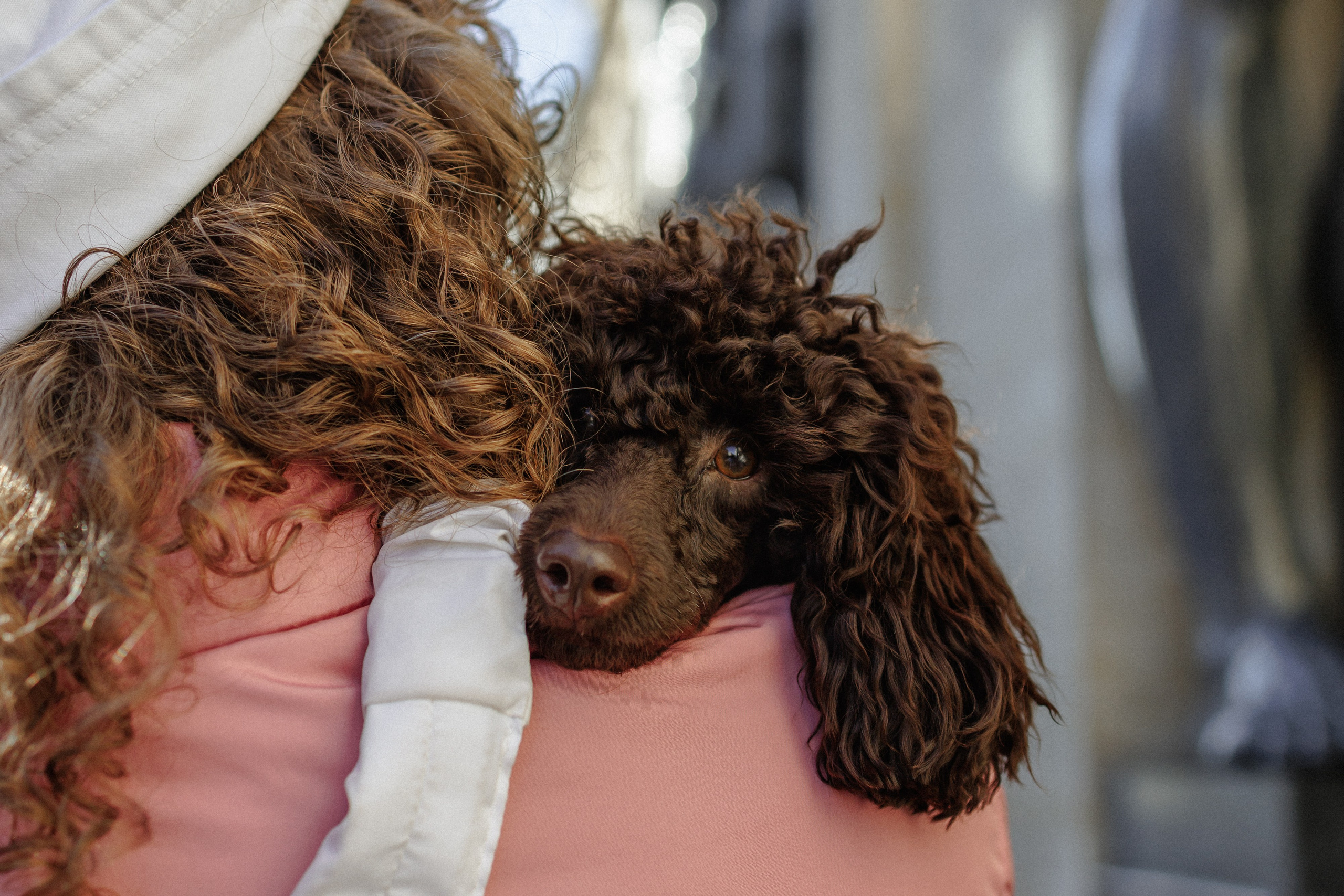 Ксения и Лео. Фотограф в Санкт-Петербурге Алёна Губинская