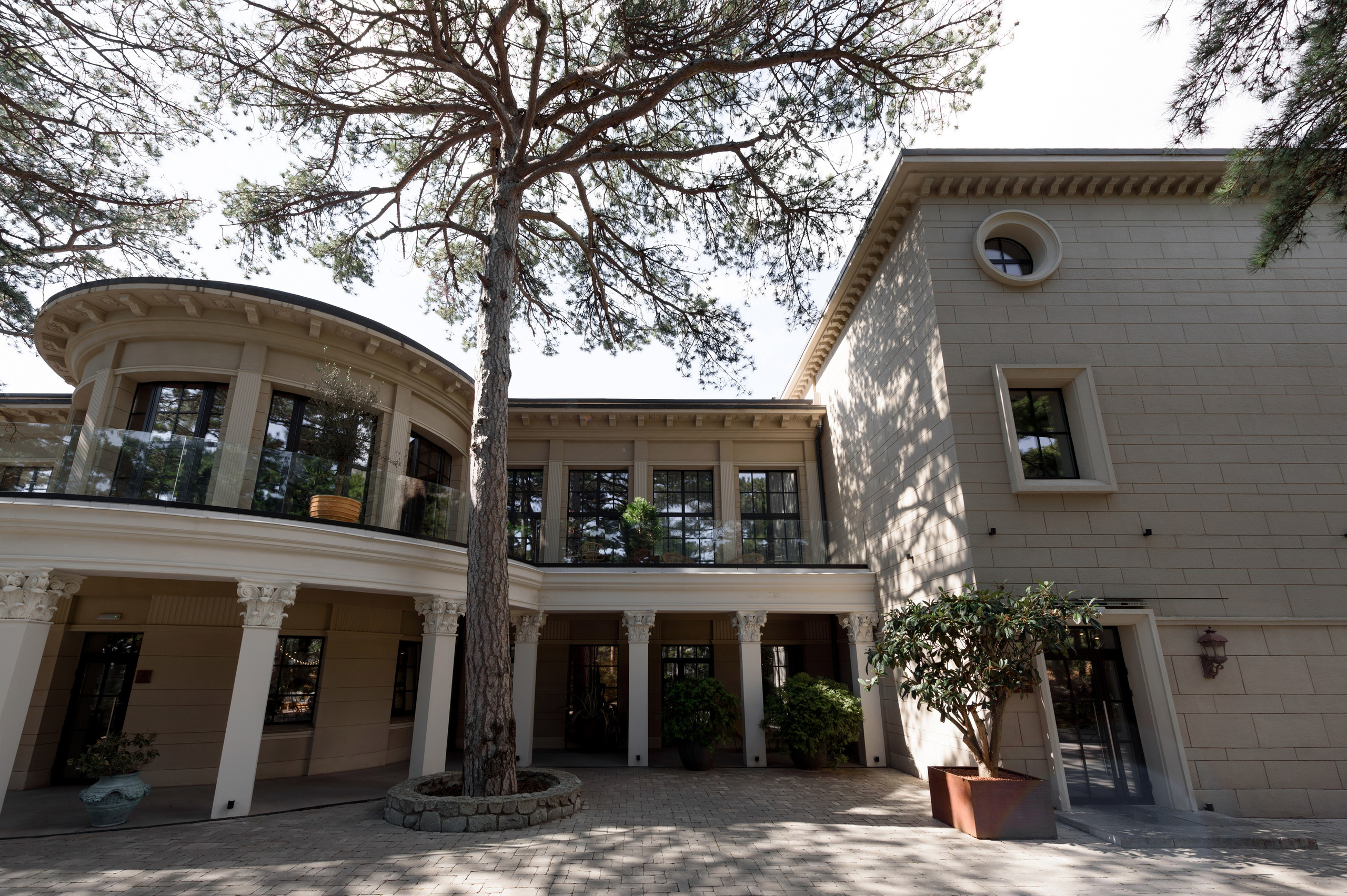 Дима и Настя 8 марта 2025. Свадебный фотограф. Крым и дальше!