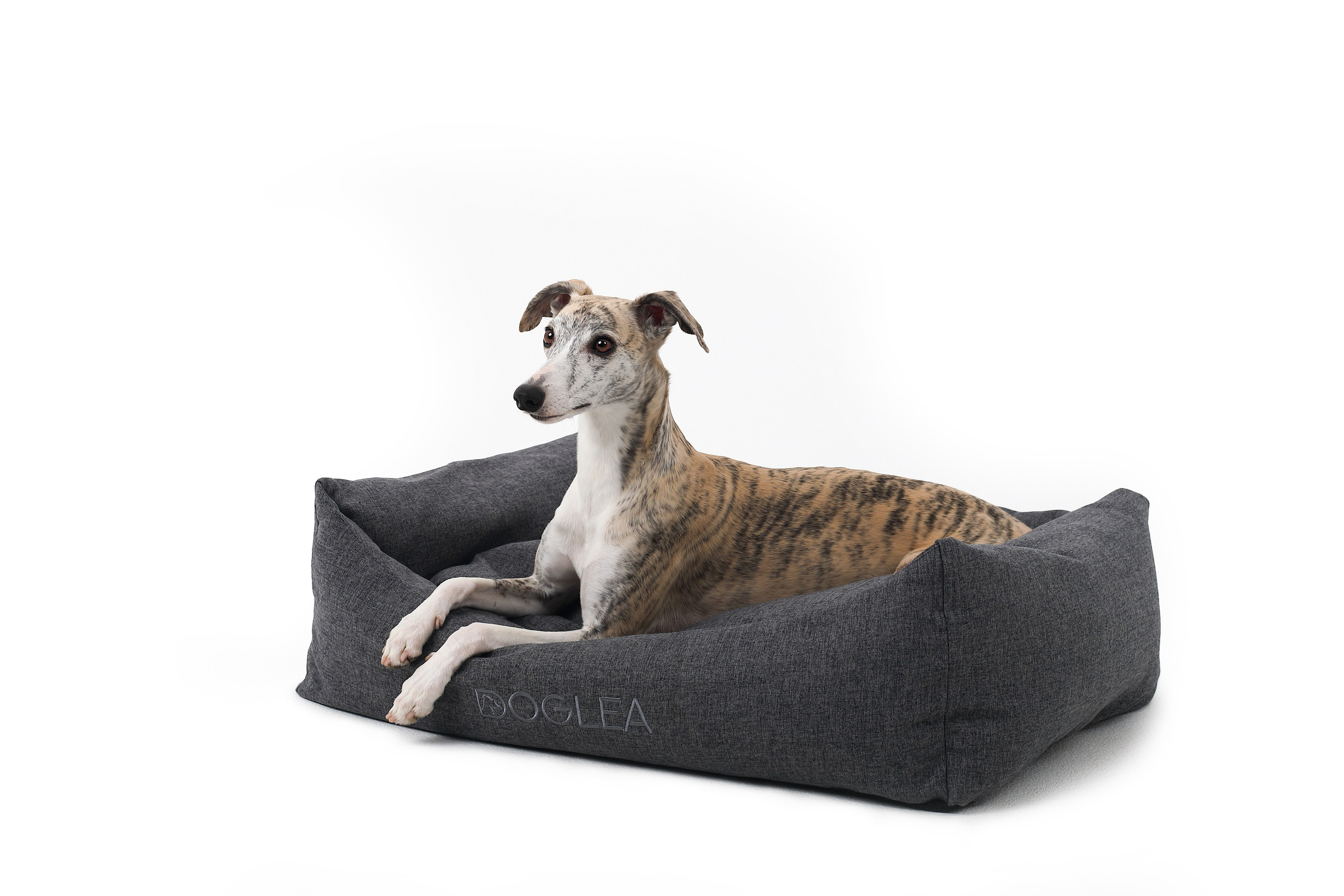 Для брендов. Фотограф- анималист Санкт-Петербург