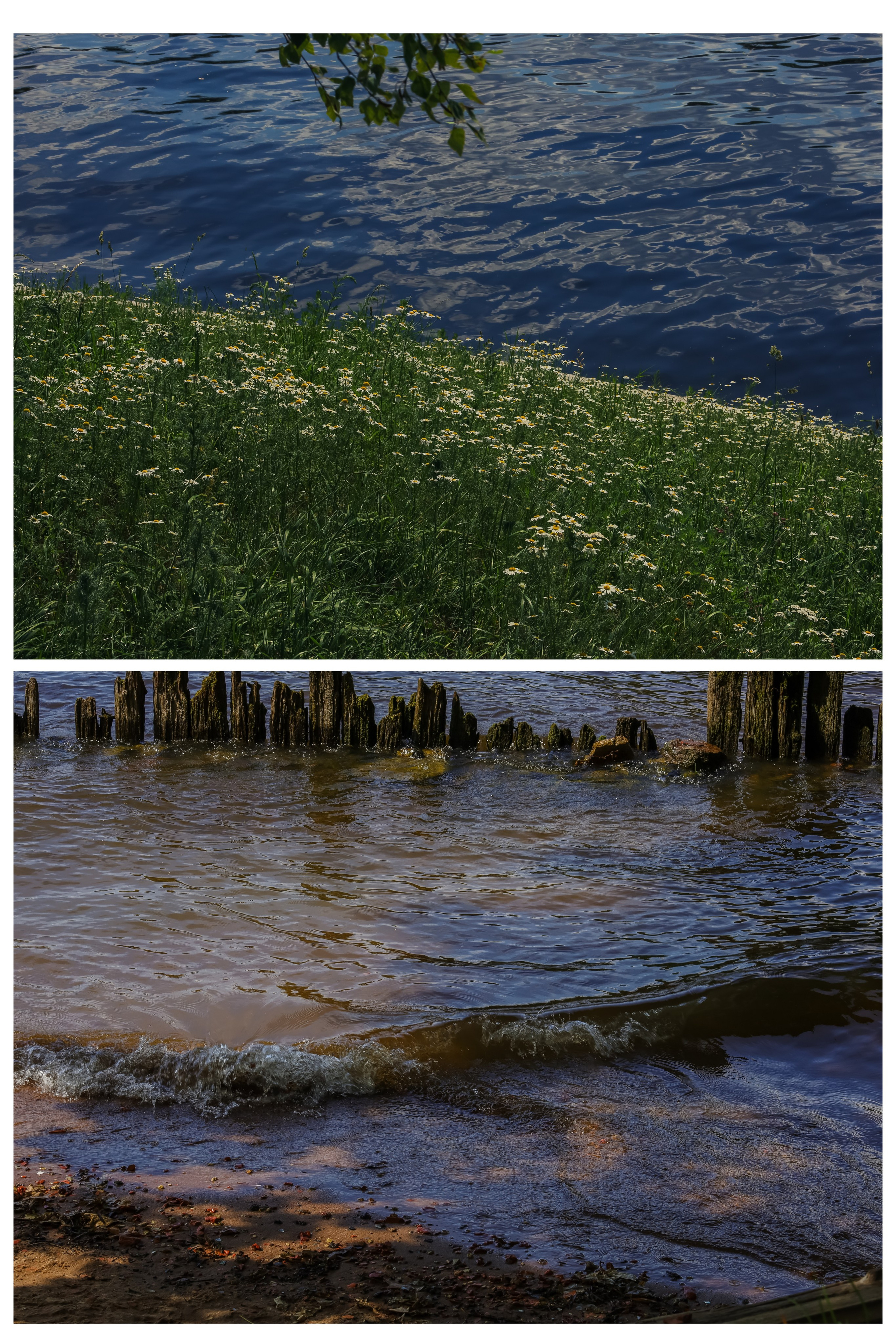 Природа &. Фотохудожник в СПб