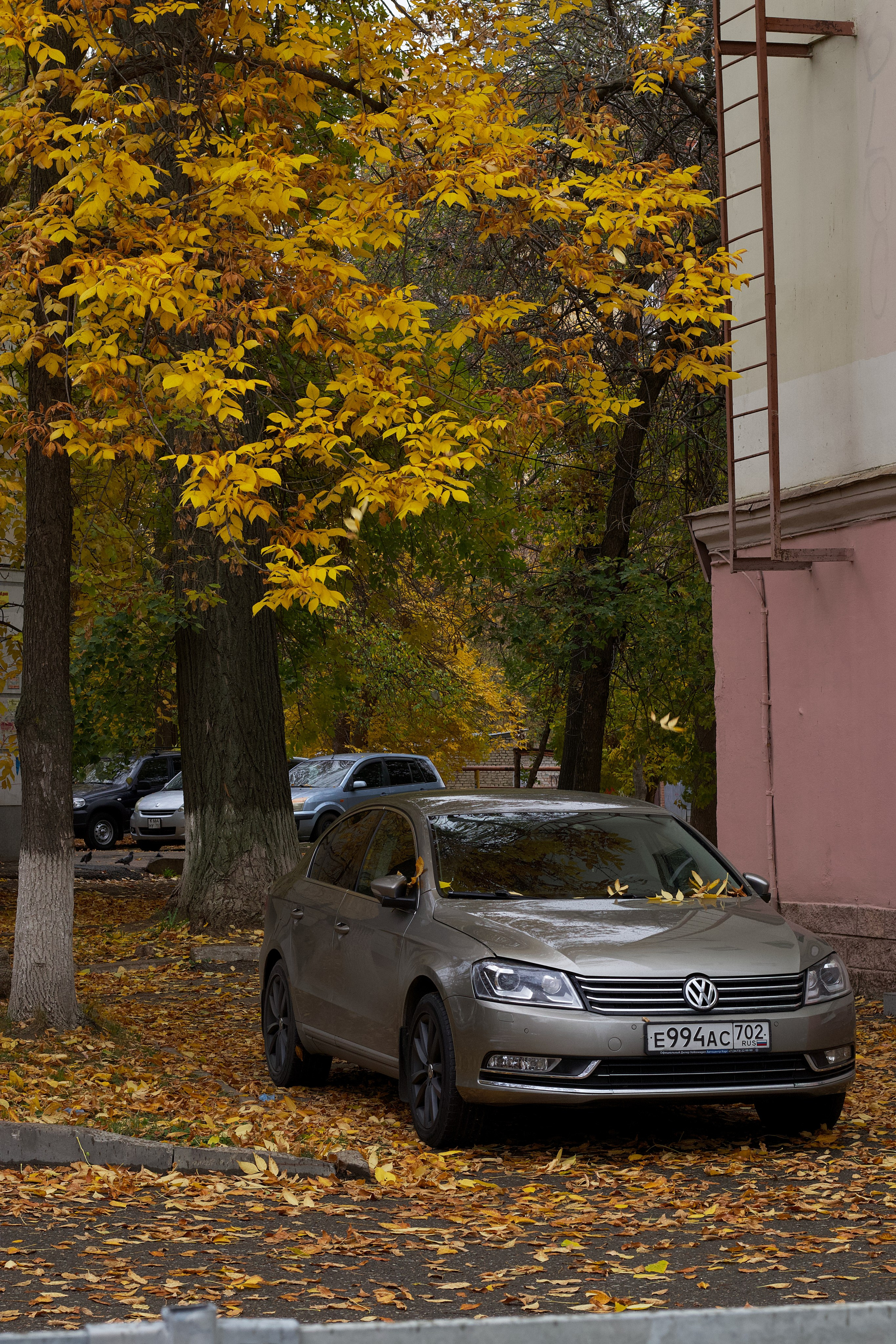 Авто-фотография. Pupov.png