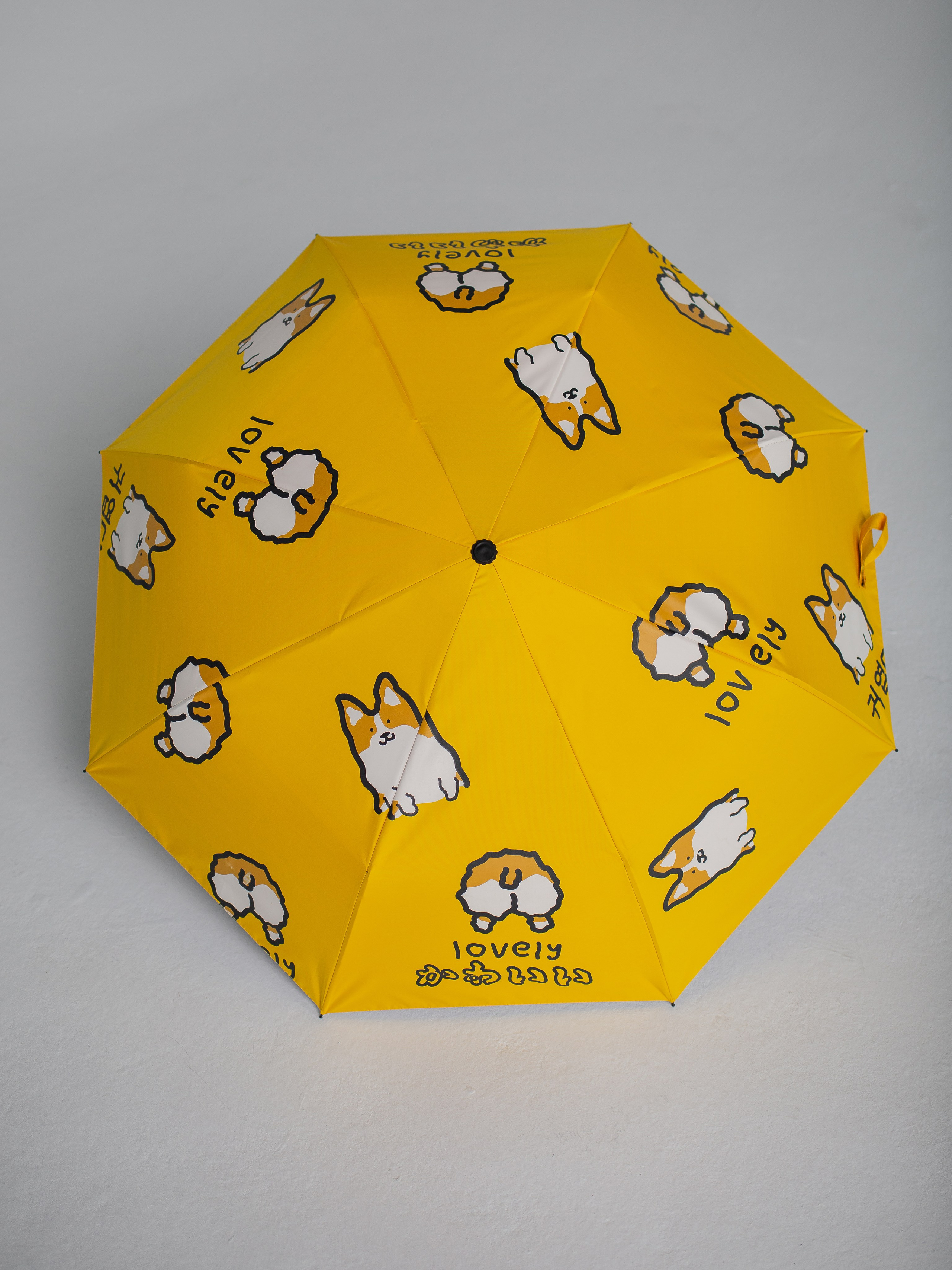 Зонты. Семейный фотограф Николаева Ольга