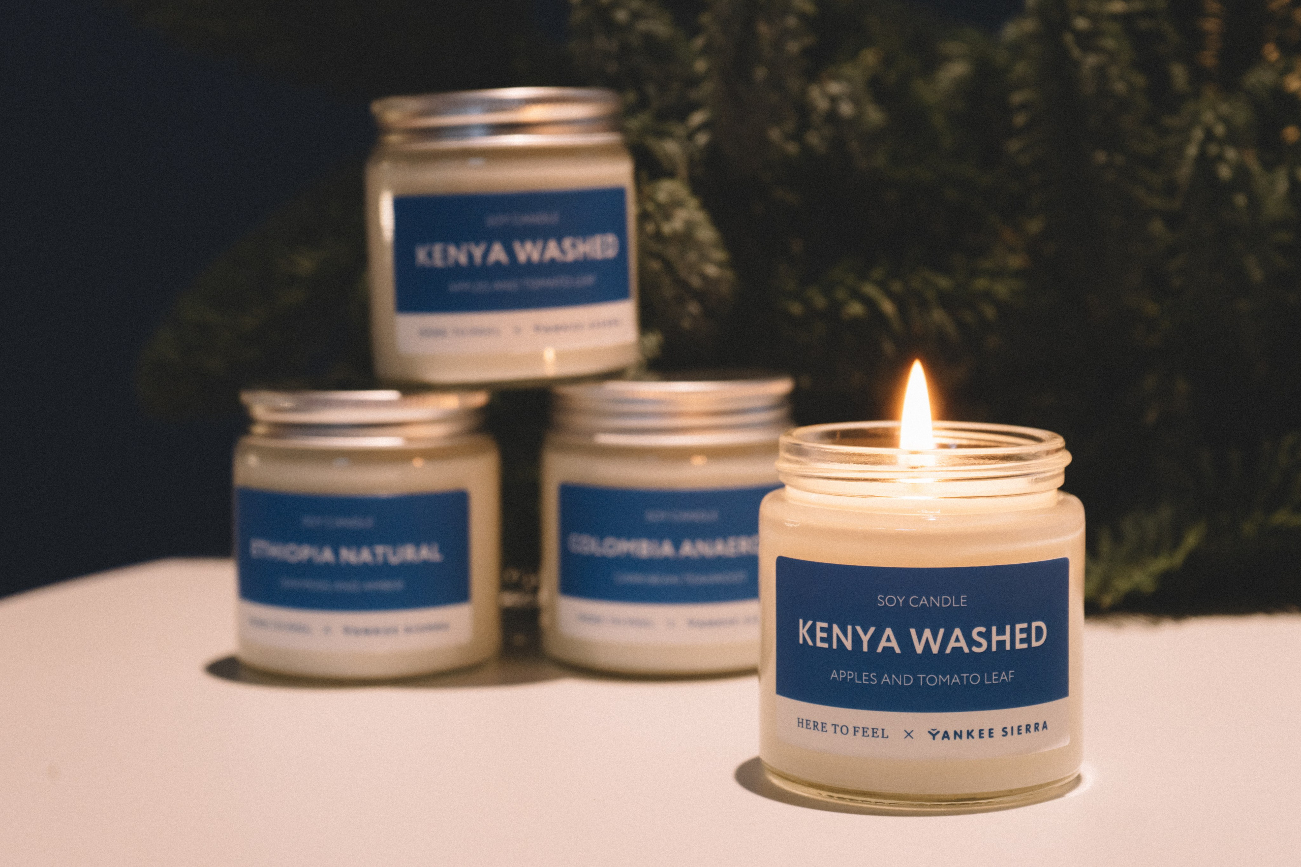 Yankee sierra. Анастасия Попова — Fashion photographer