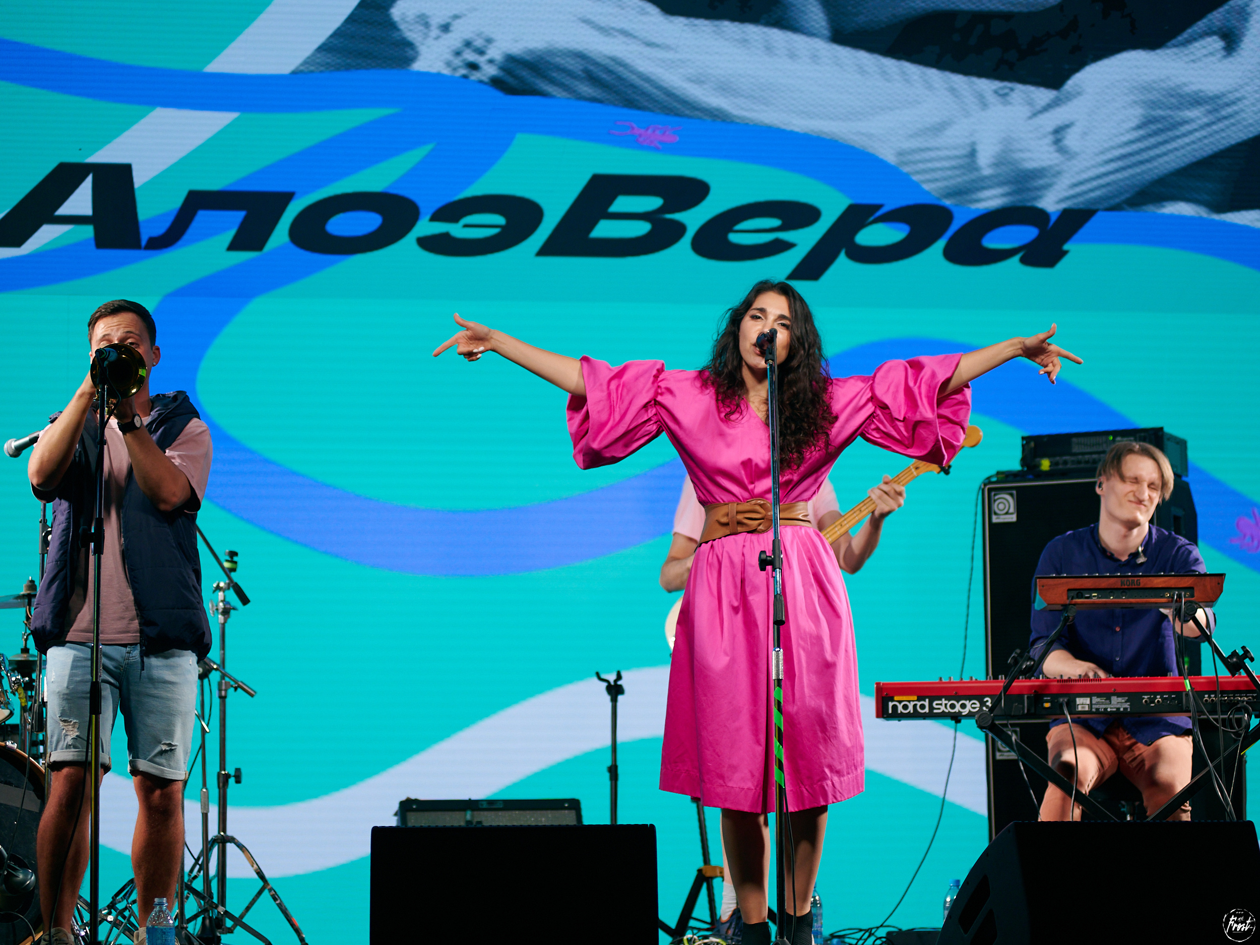 Алоэ Вера. Фотографии отовсюду и обо всем