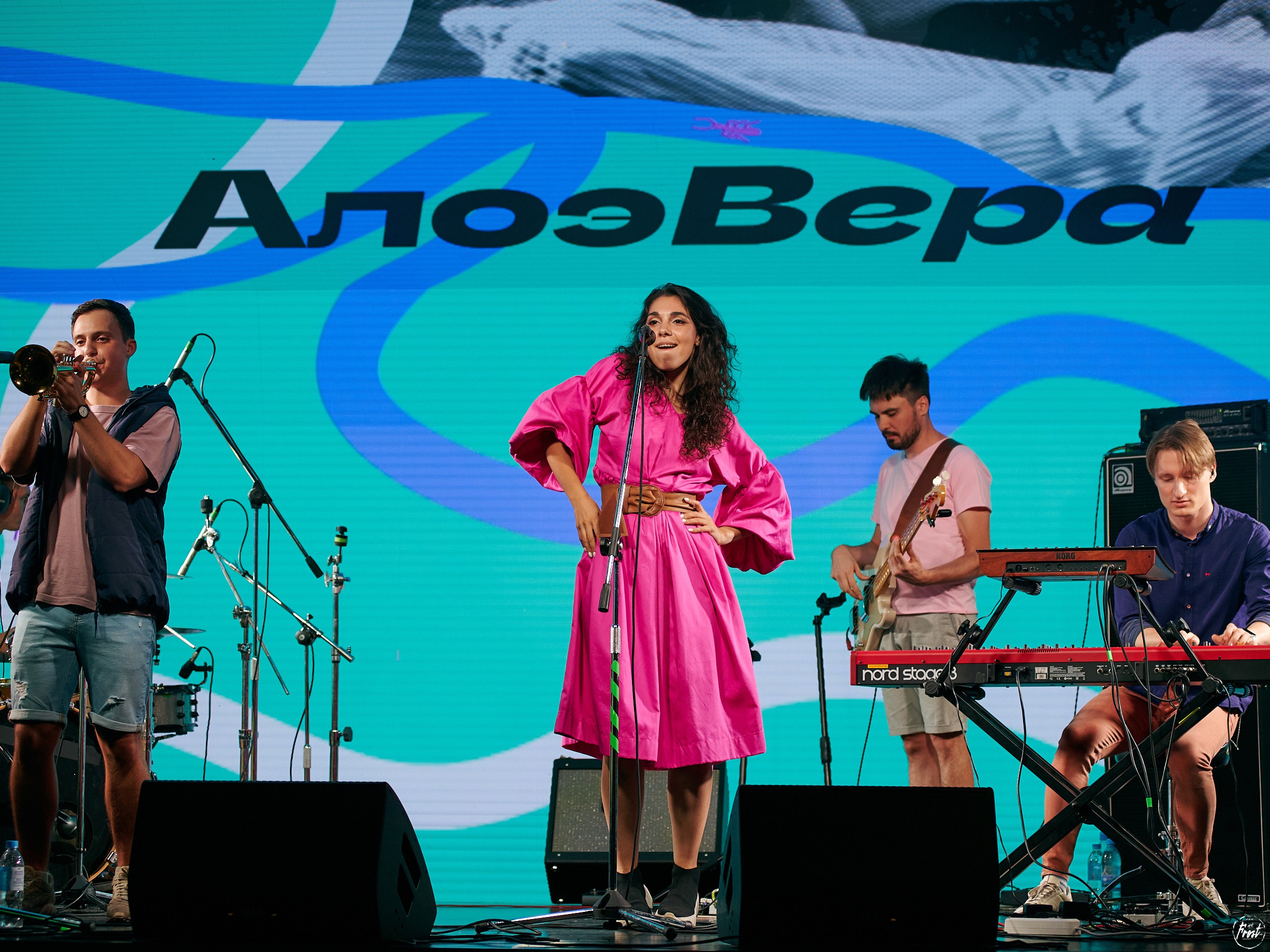 Алоэ Вера. Фотографии отовсюду и обо всем