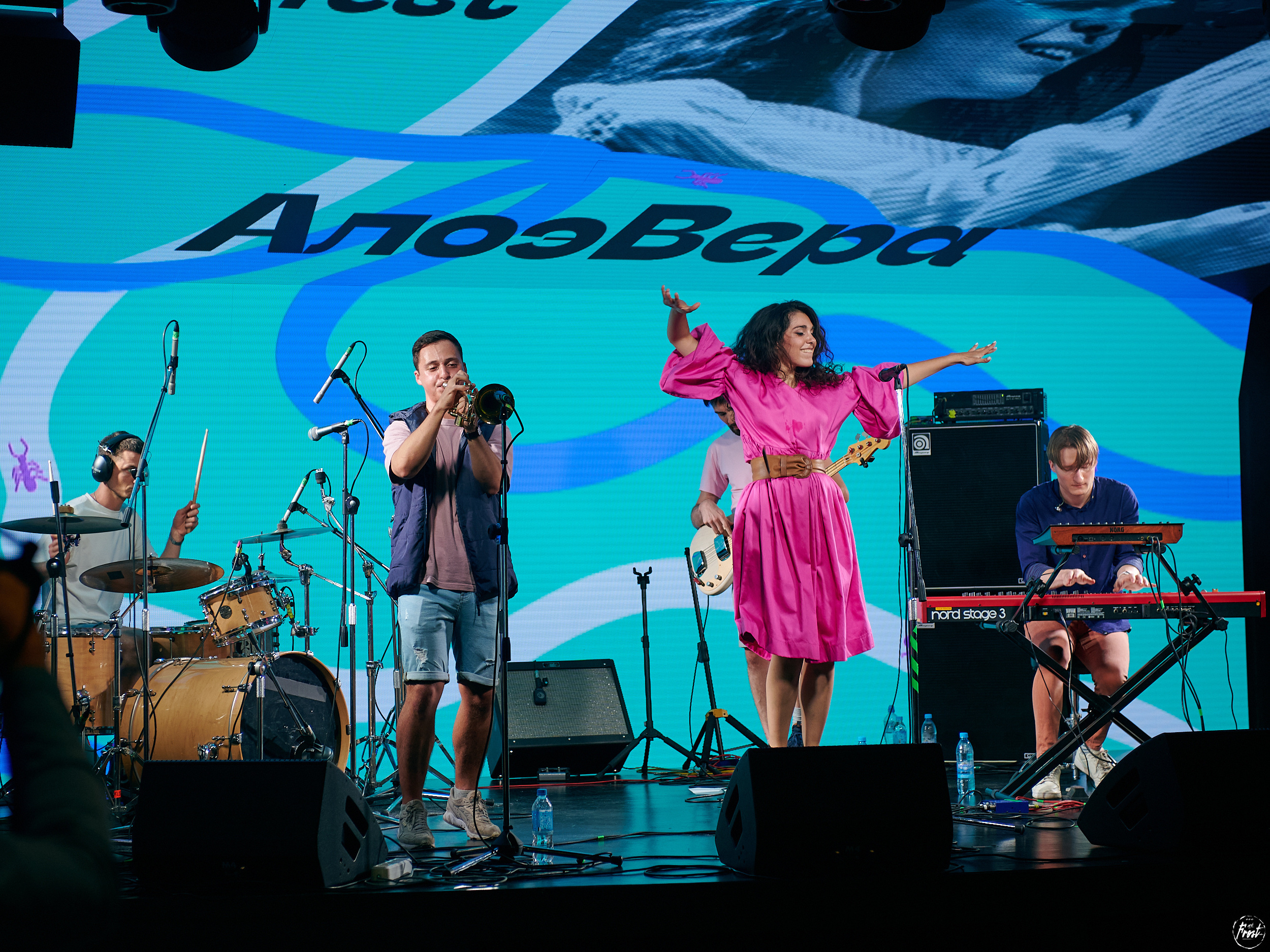 Алоэ Вера. Фотографии отовсюду и обо всем