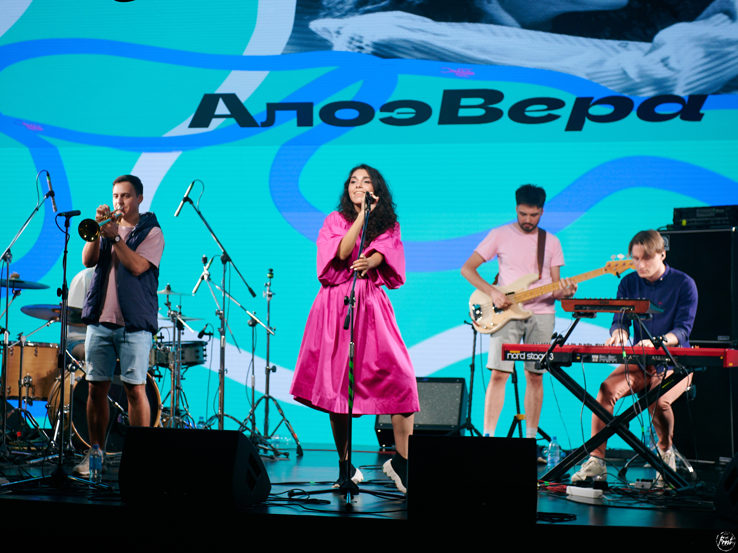 Алоэ Вера. Фотографии отовсюду и обо всем