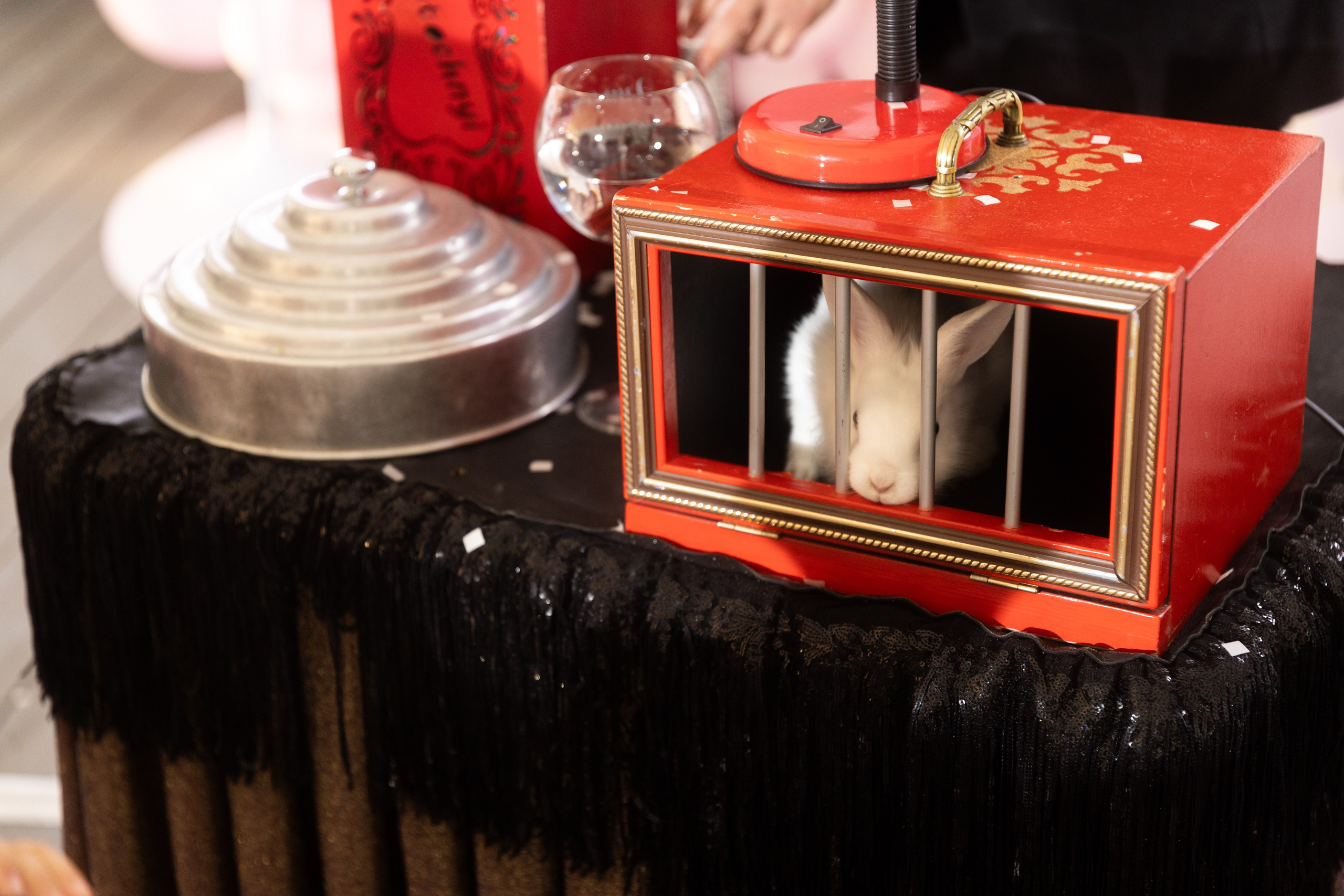 Оливия, 5 лет, Новорижскяа застава. Свадебный фотограф | Москва