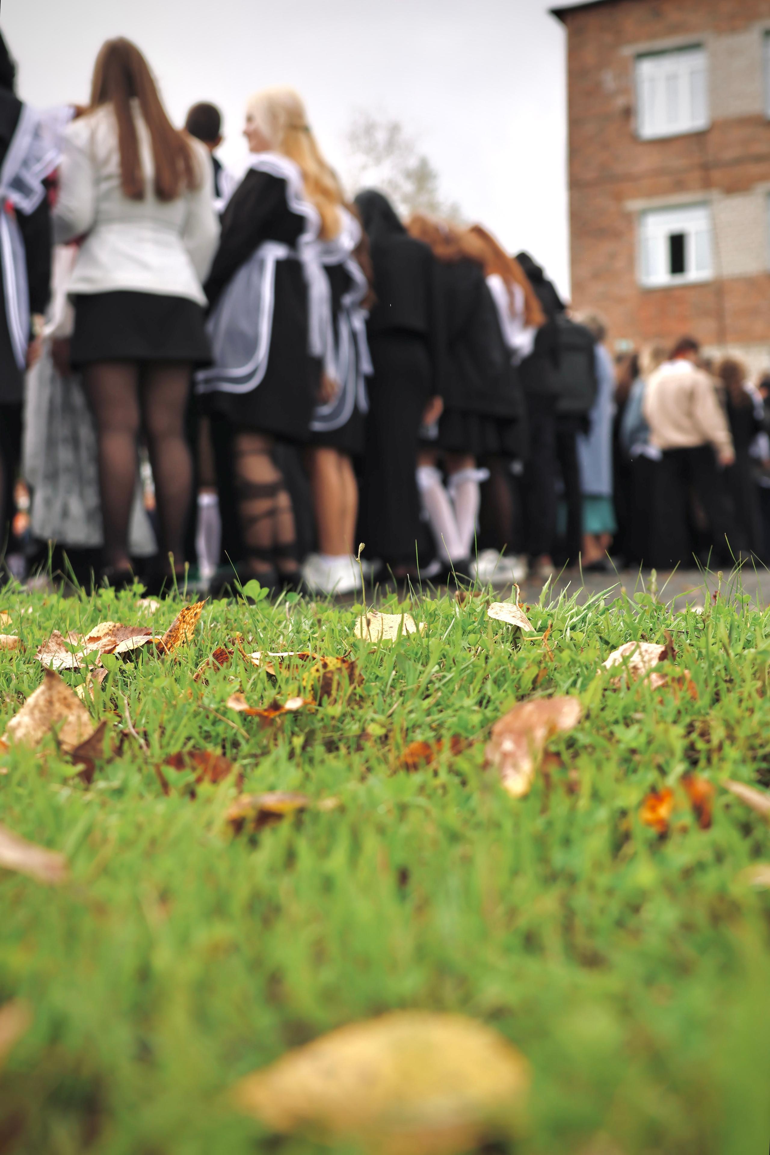 1 сентября. Родная школа. Фотограф портретист в Санкт Петербурге Дроздова Алла