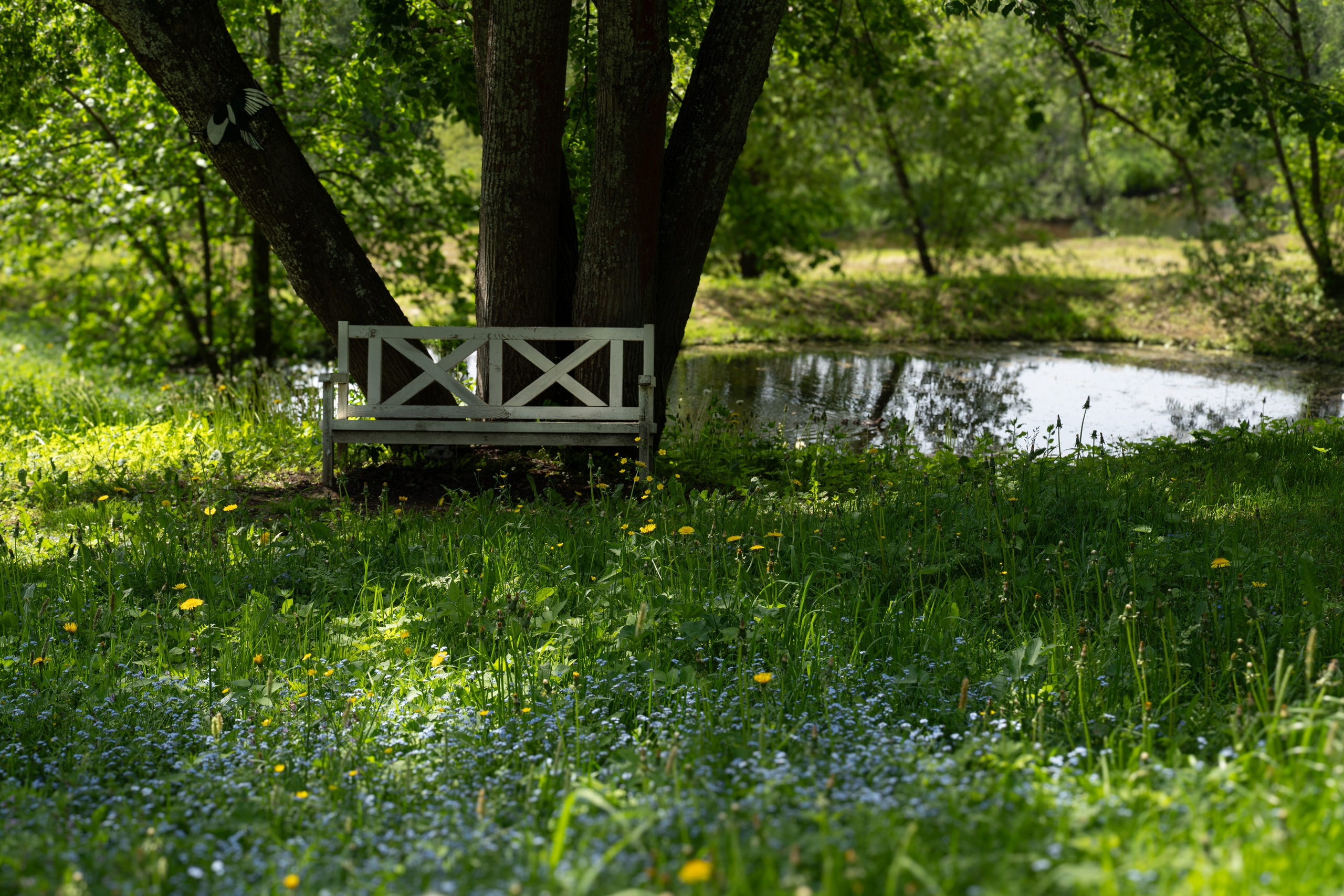 Плёс. ПОБУДЬ ЗДЕСЬ И ЦЕЛЕЕ БУДЕТ ЭТОТ МИР