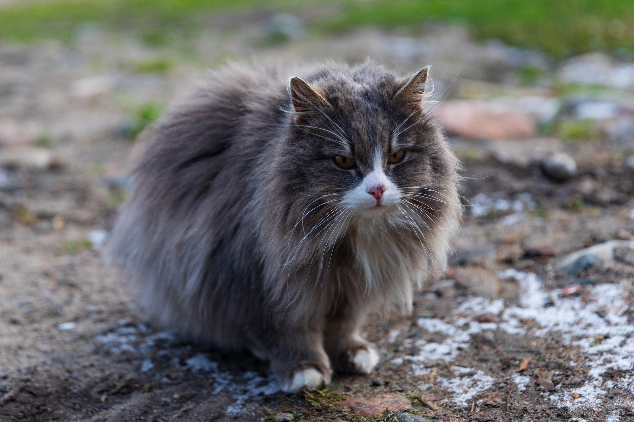 Большое путешествие в Карелию на машине. Марина Захарова — Фотограф. Москва / Marina Zakharova — Photographer