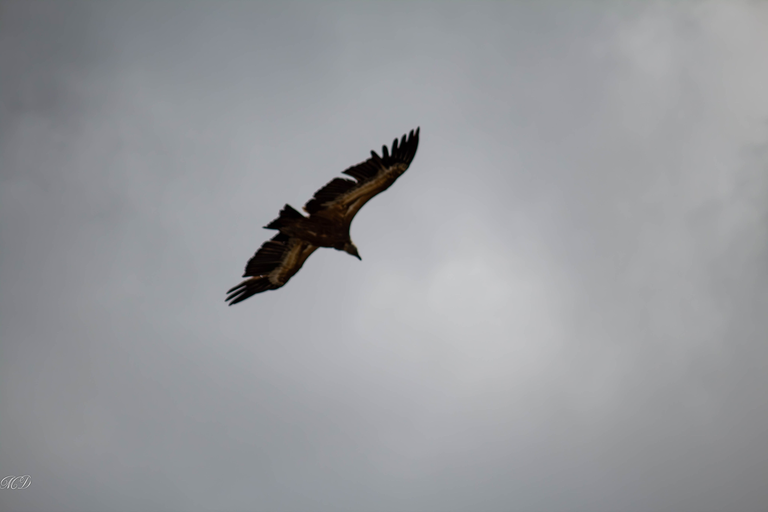 ДАГЕСТАН. Михаил Дёгтев - фотограф