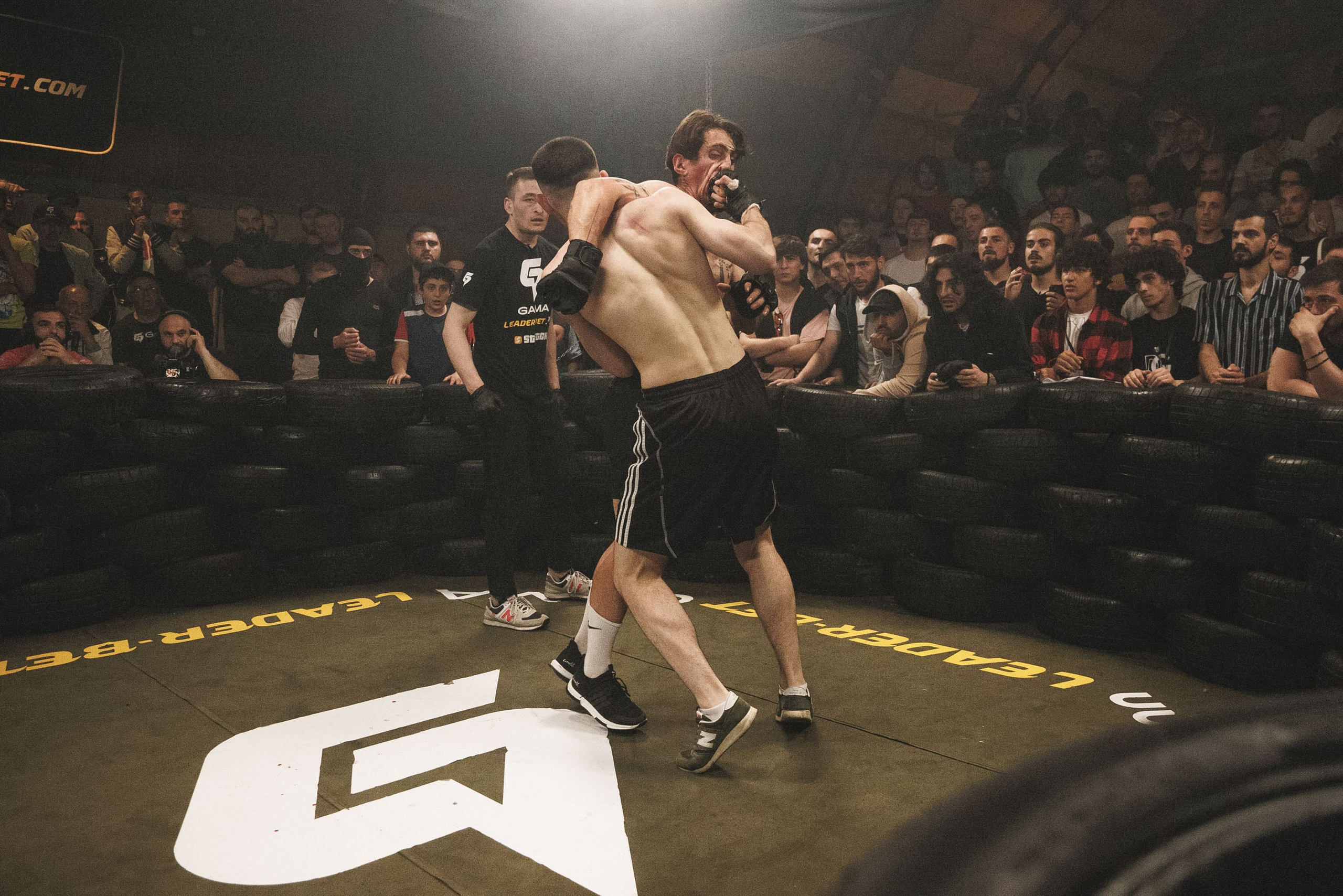 Fights // Social. Bivol images