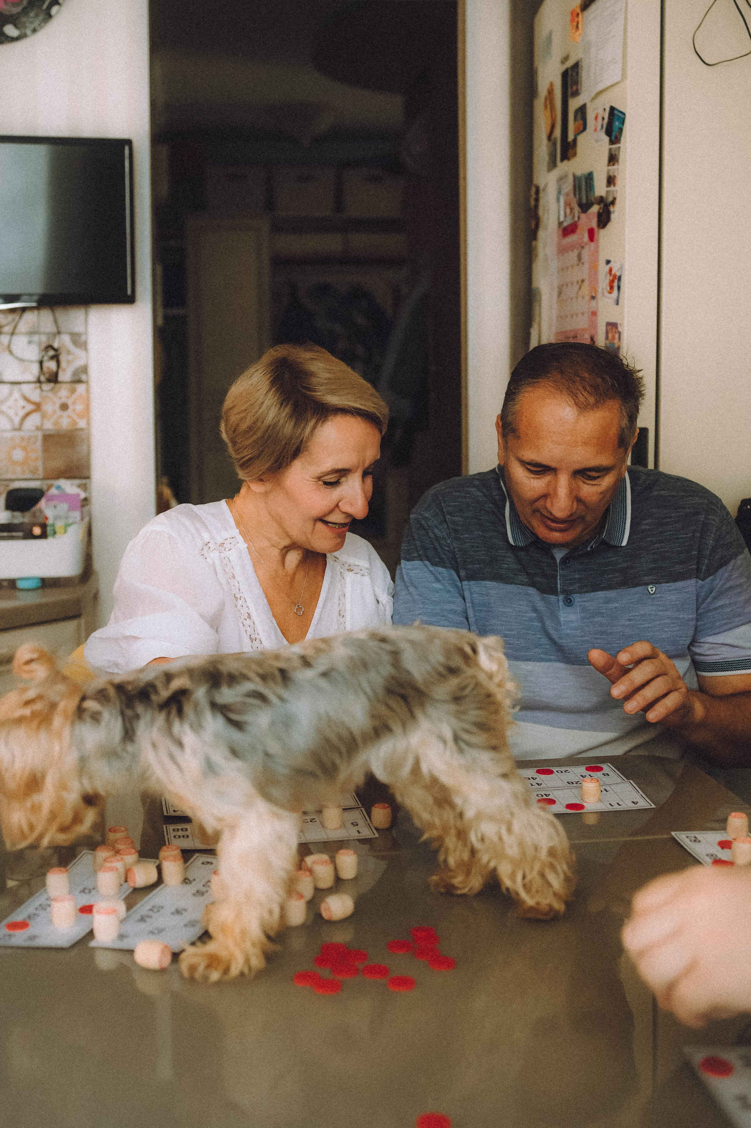 Дэзи и ее семья