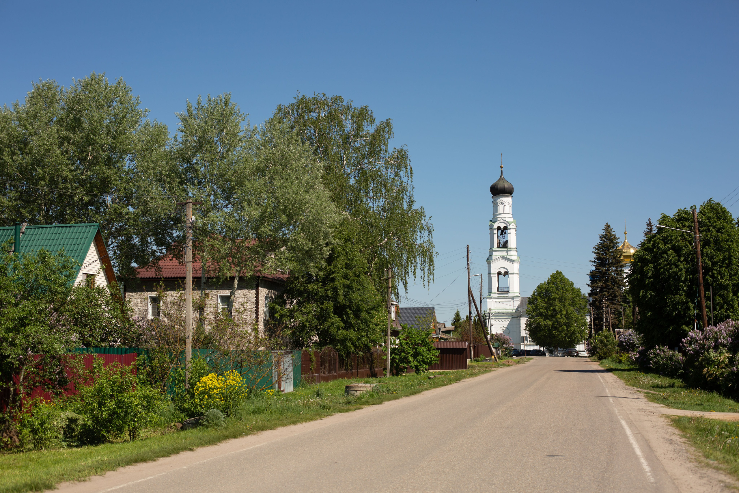 Крестный ход с Ашитково Воскресенский храм. Семейный и детский фотограф Анна Петракова