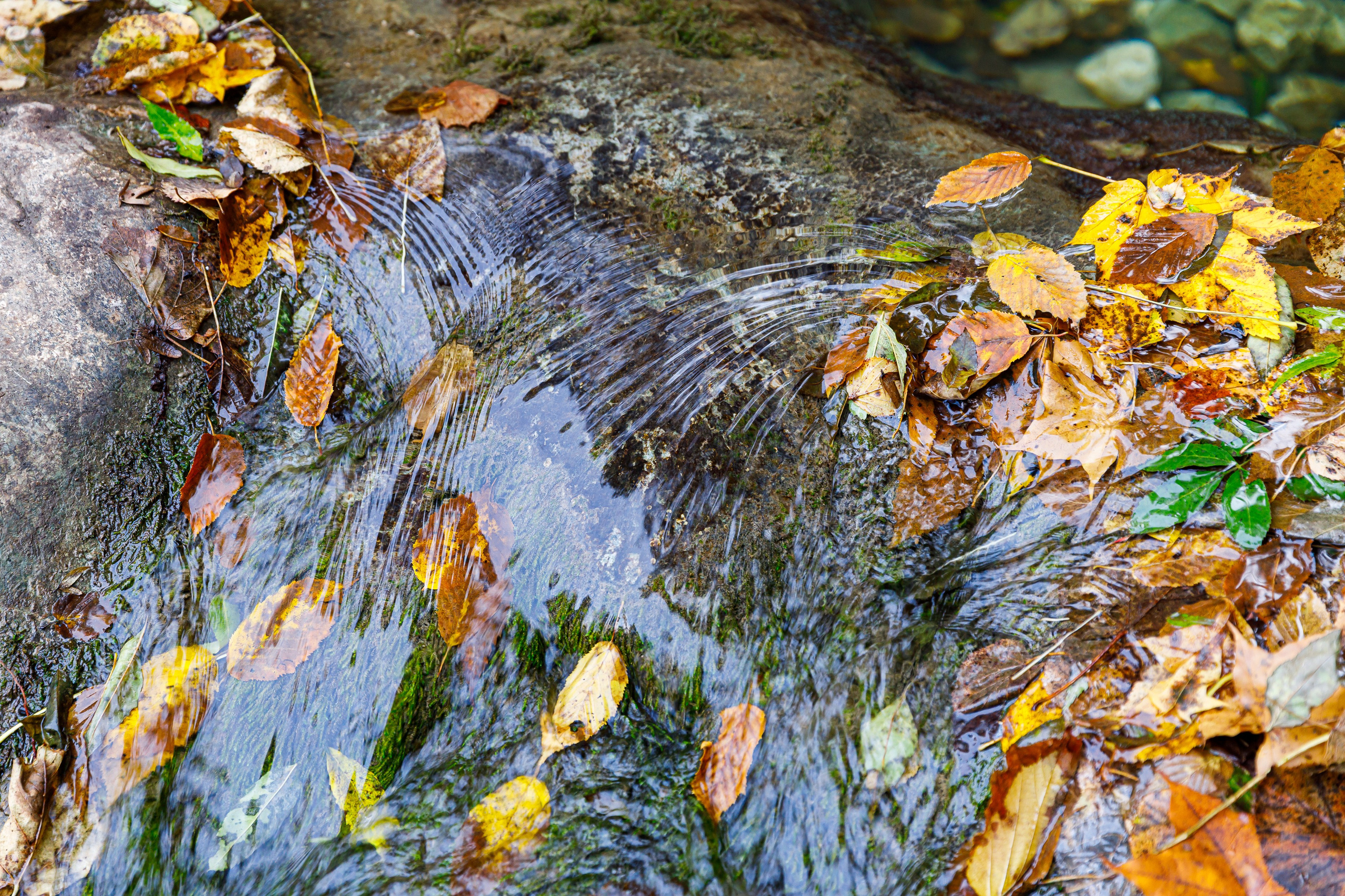 Путешествия