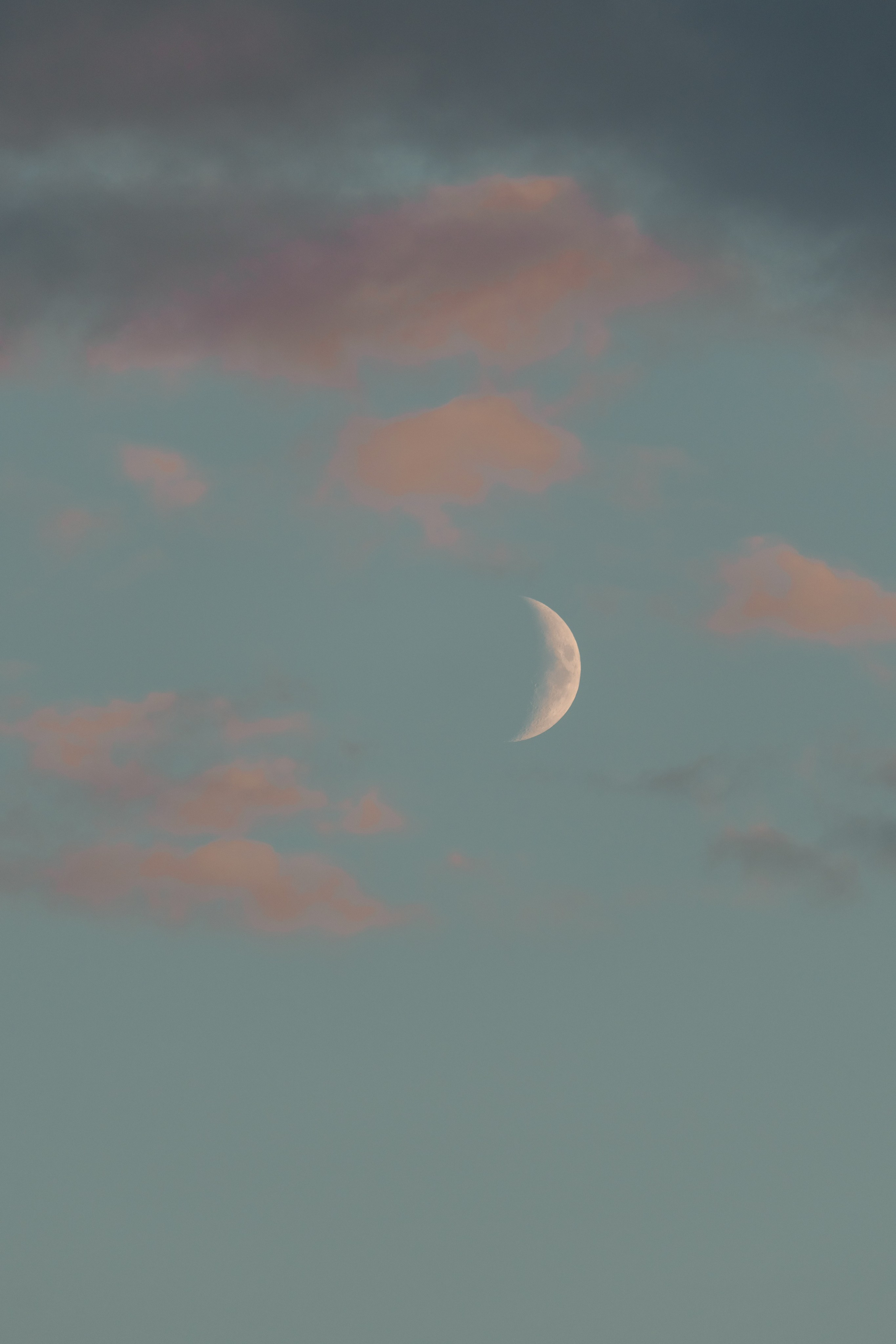 Природа. Фотограф в Санкт-Петербурге Ибрагимова Алина