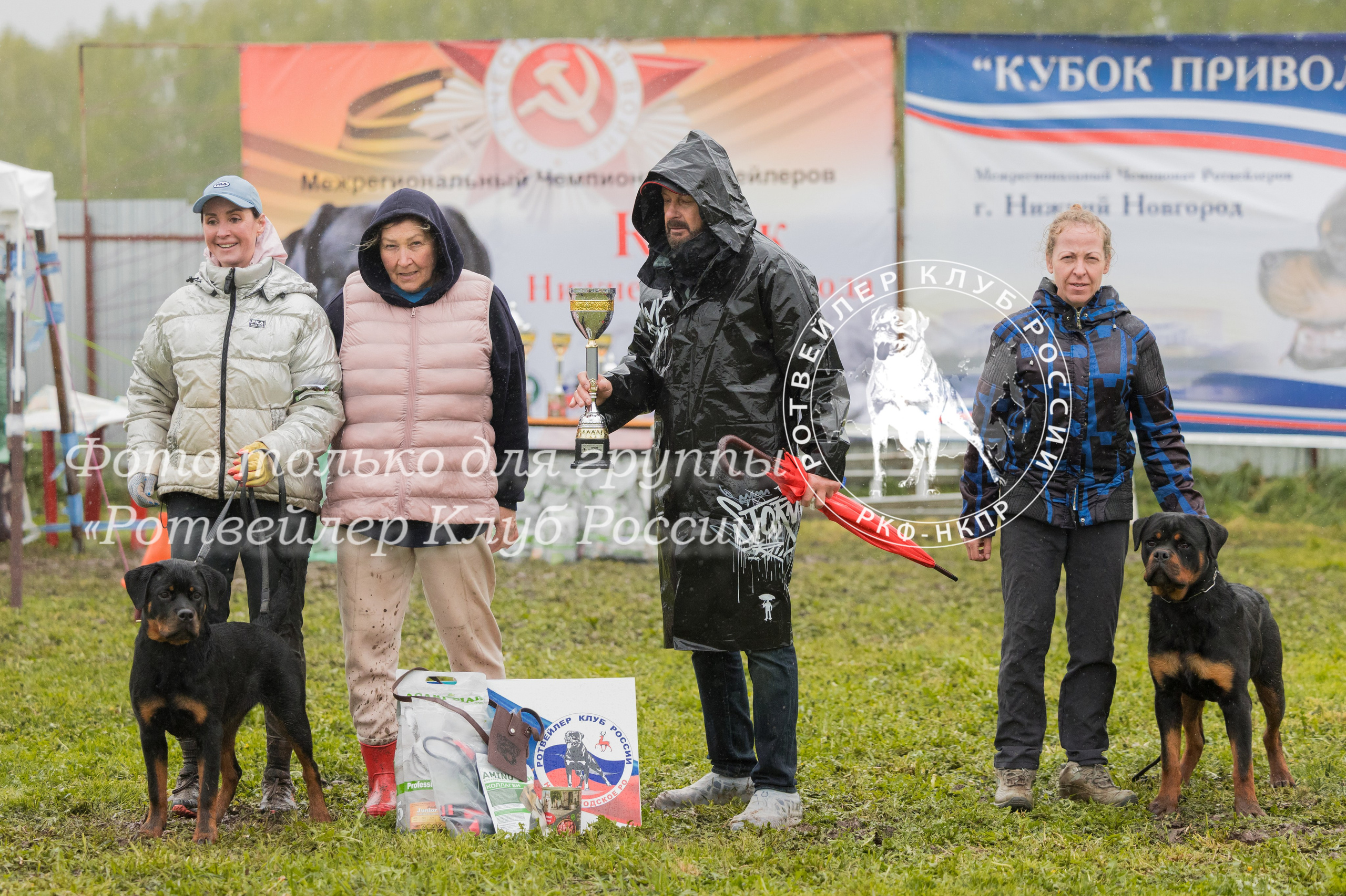 Нижний Новгород 2хмоно ротвейлеров 10-11.05.2025. Фотограф-анималист Юлия Германика