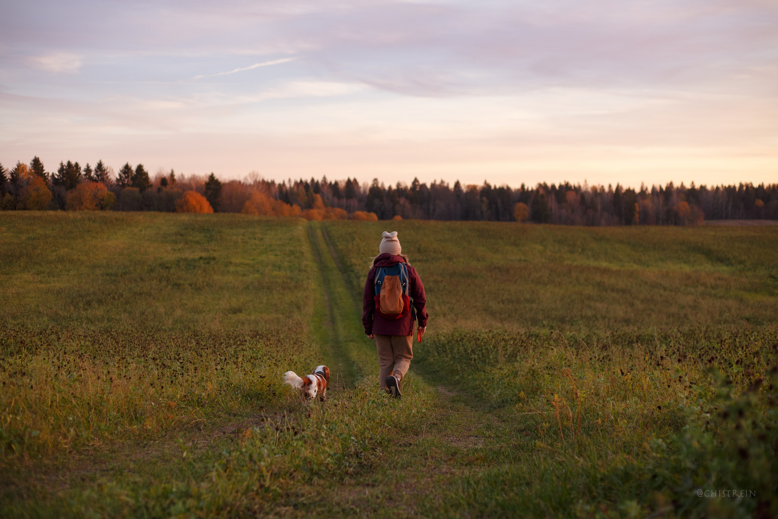 Октябрьский закат в полях. Алина и Лео. Фотограф-анималист Наталия Чистюхина в г. Сосновый Бор и ЛО