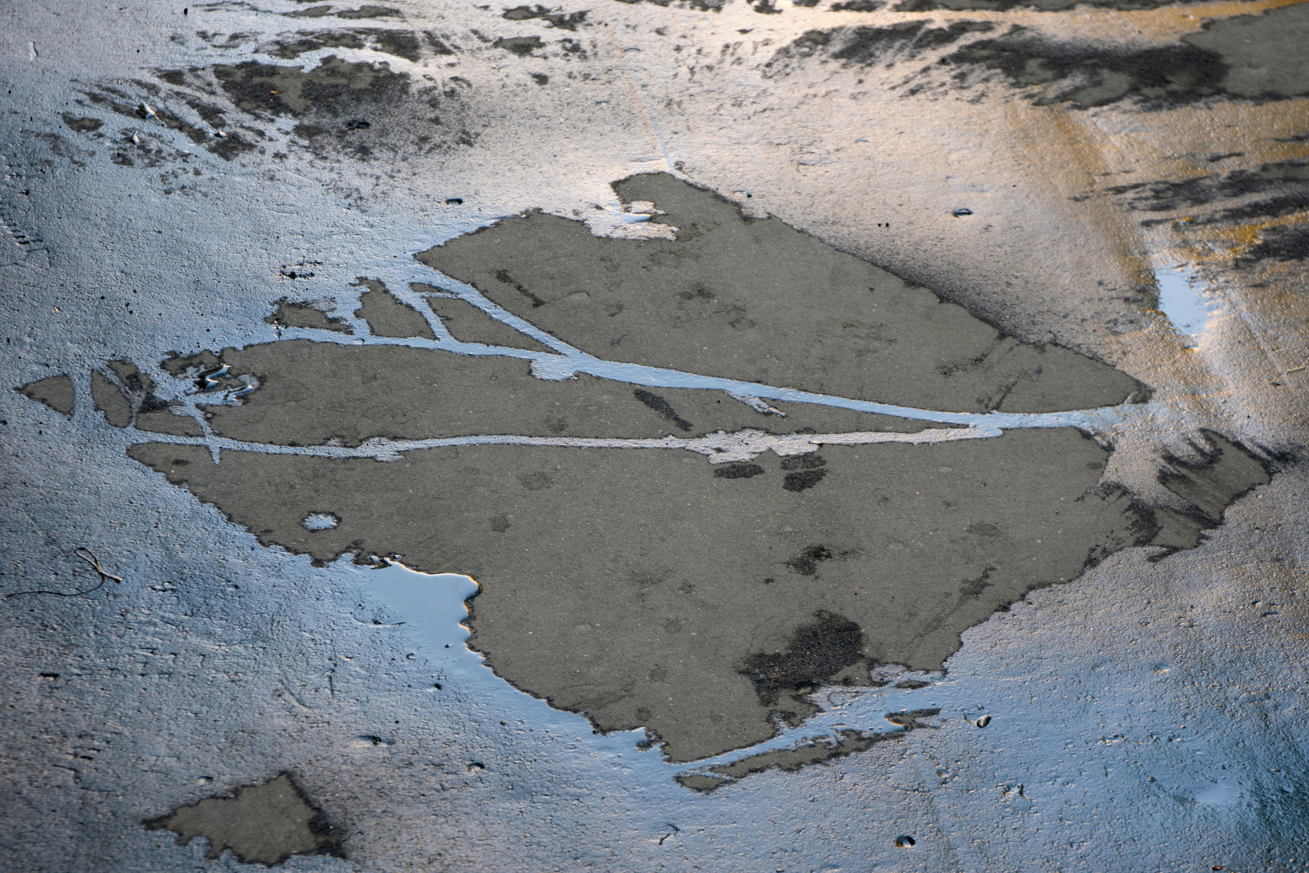 Симуляторы (Каталог № 4). Главная