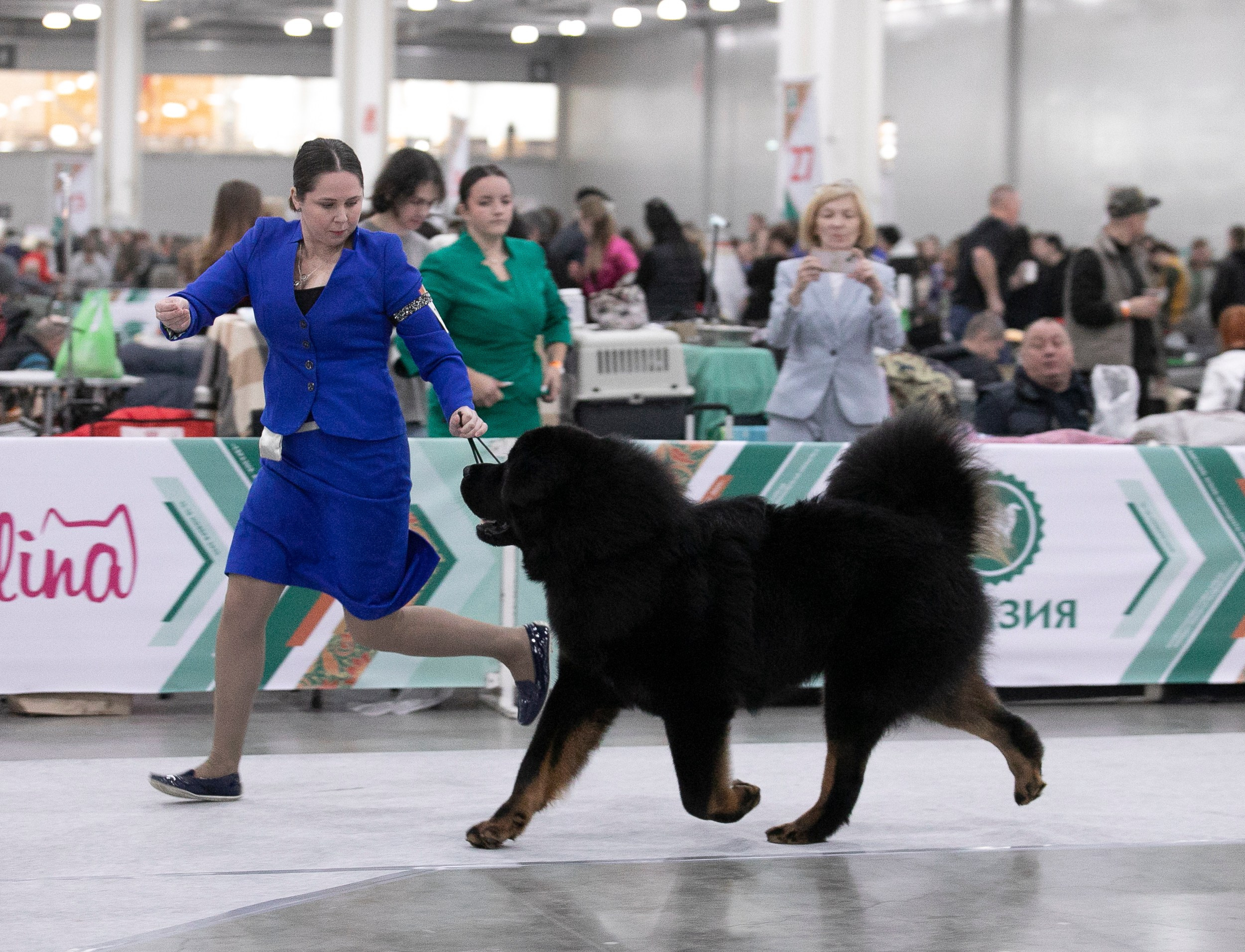 Авторские пресеты для обработки фото. Фотограф — видеограф Алиса Дружинина