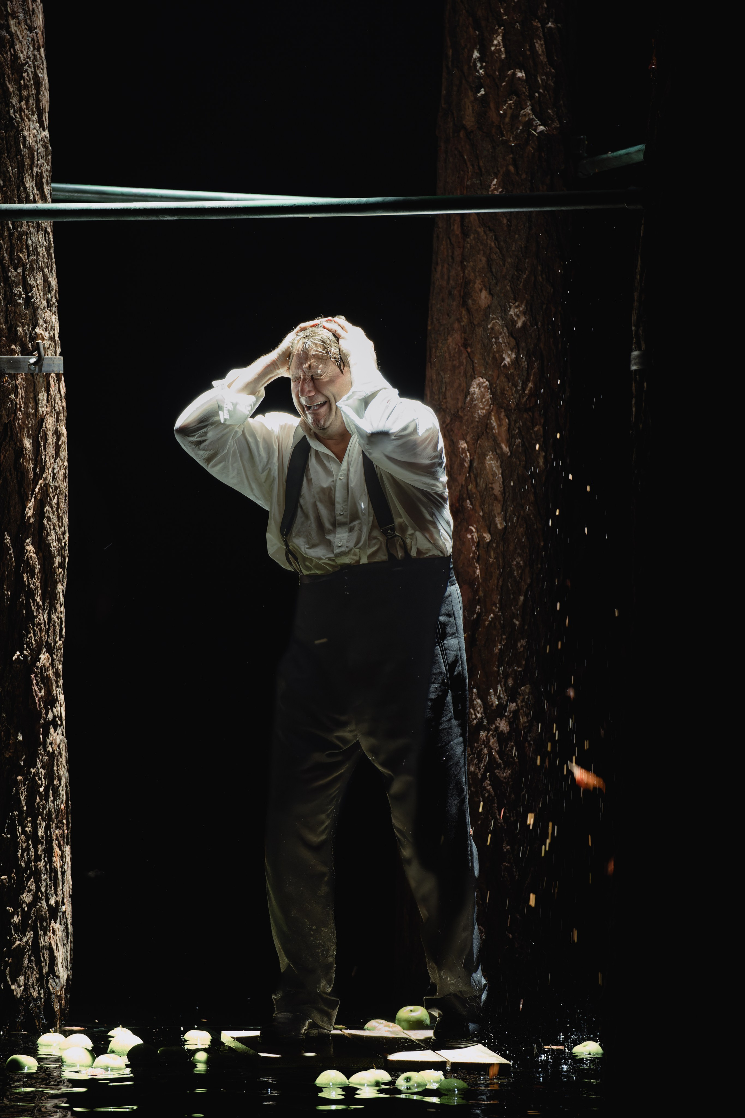 Театр Маяковского: Лес. Сайт фотографа Сергея Абрамова