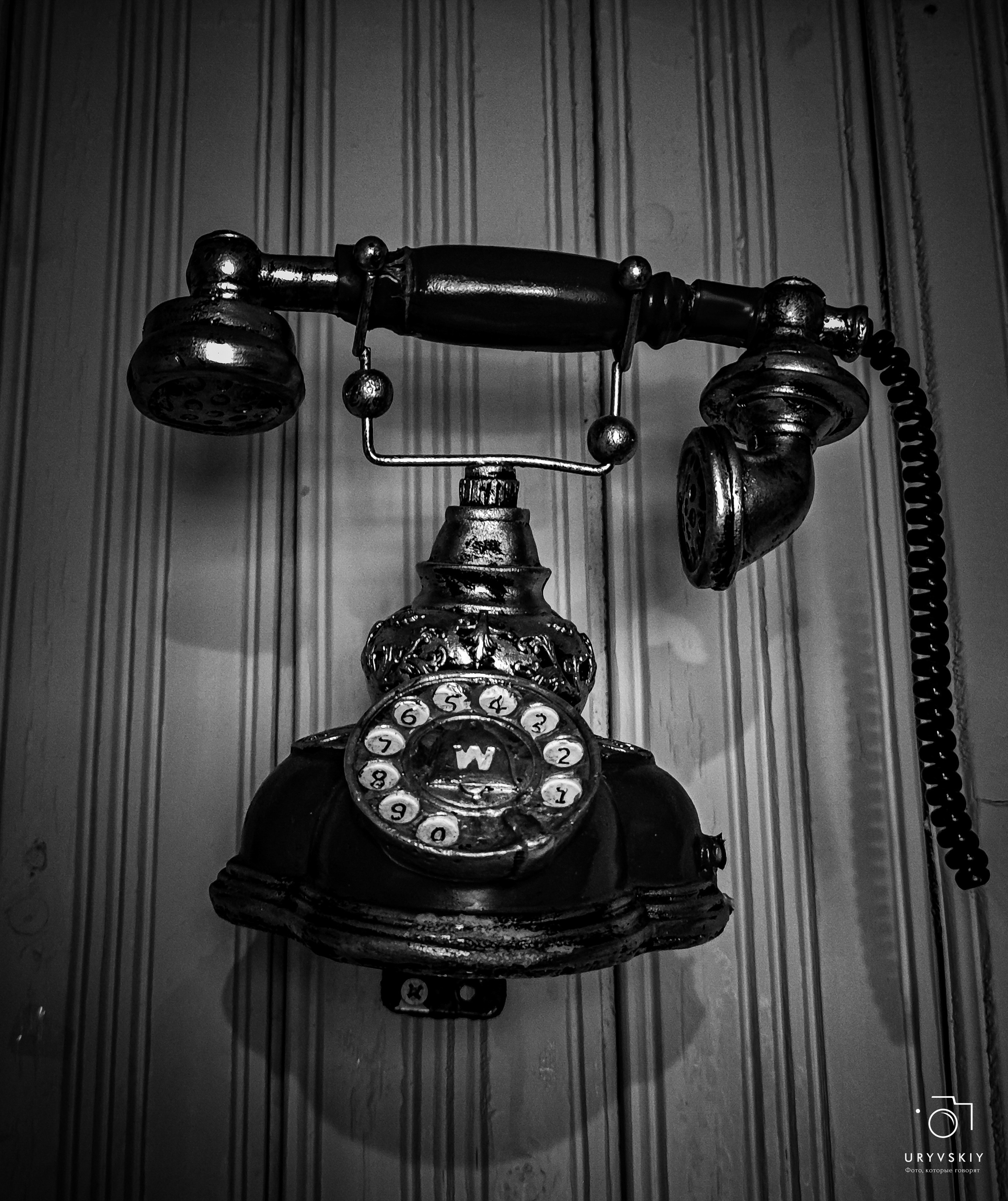 Командор, Хороший. День торговли 2025. Игорь Урывский. Фотограф Красноярск