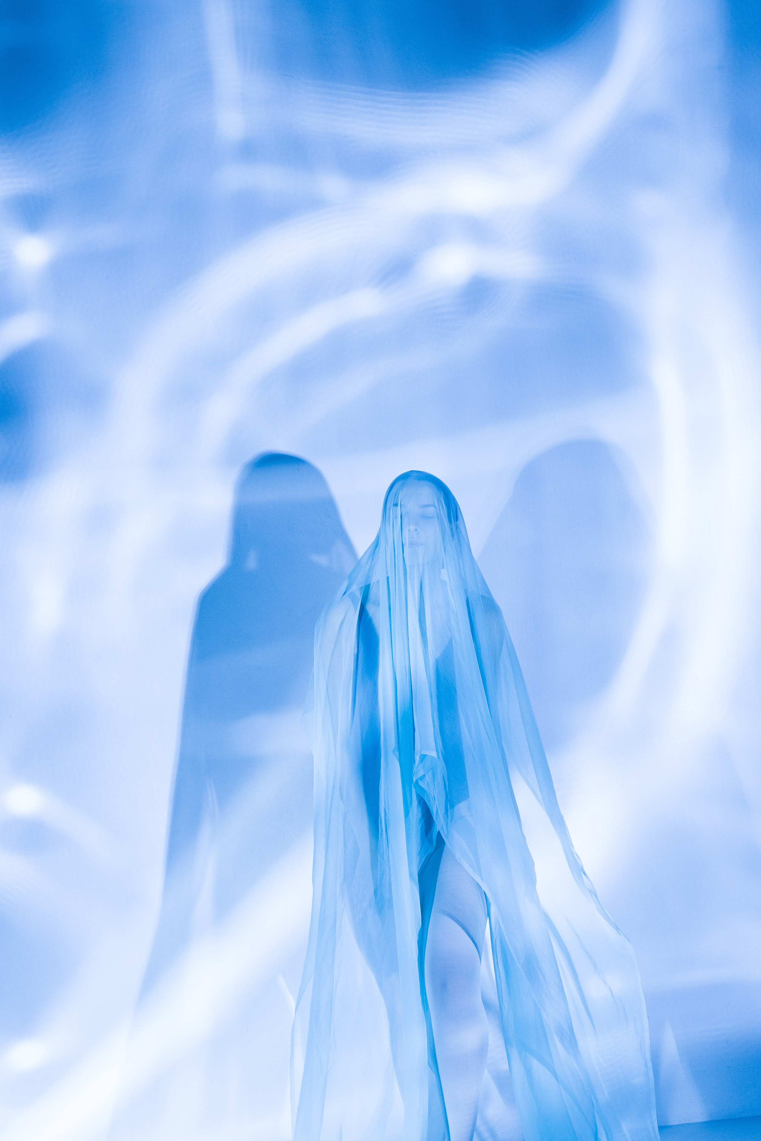 Лилия. Художественная фотография