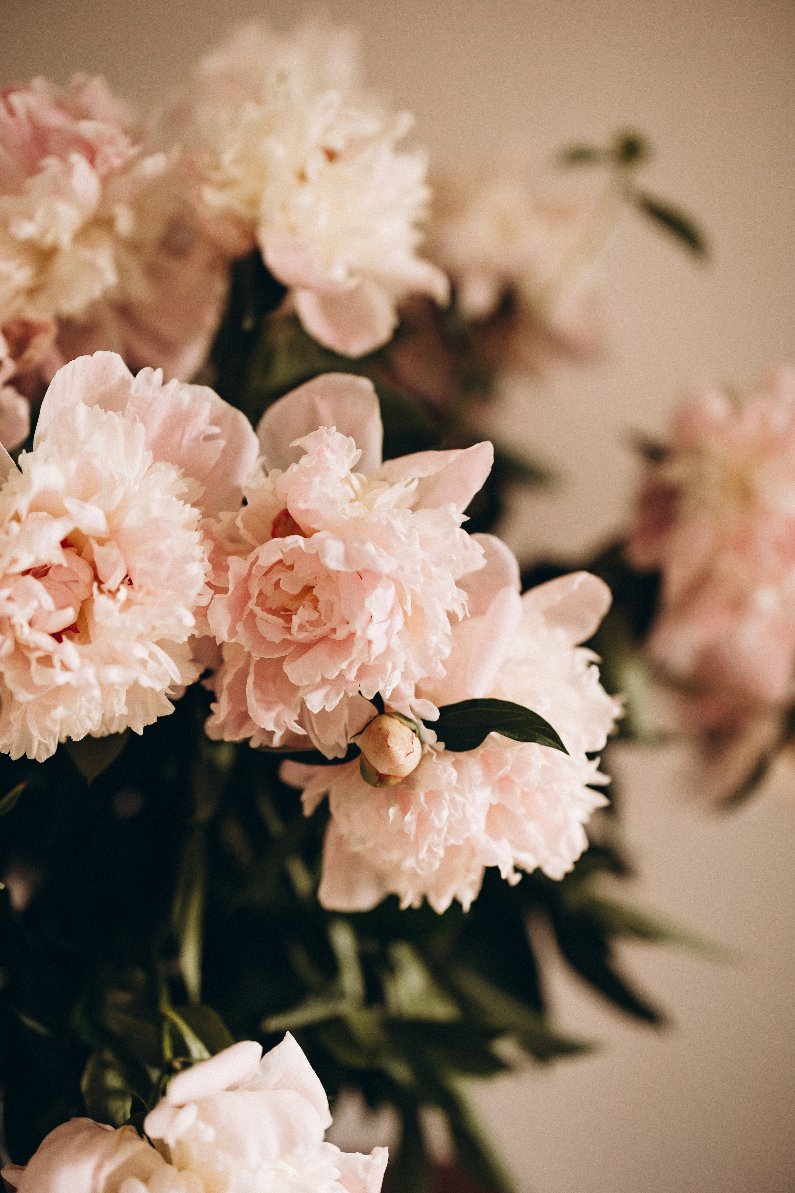 Двойное счастье. Евгения Пелипас