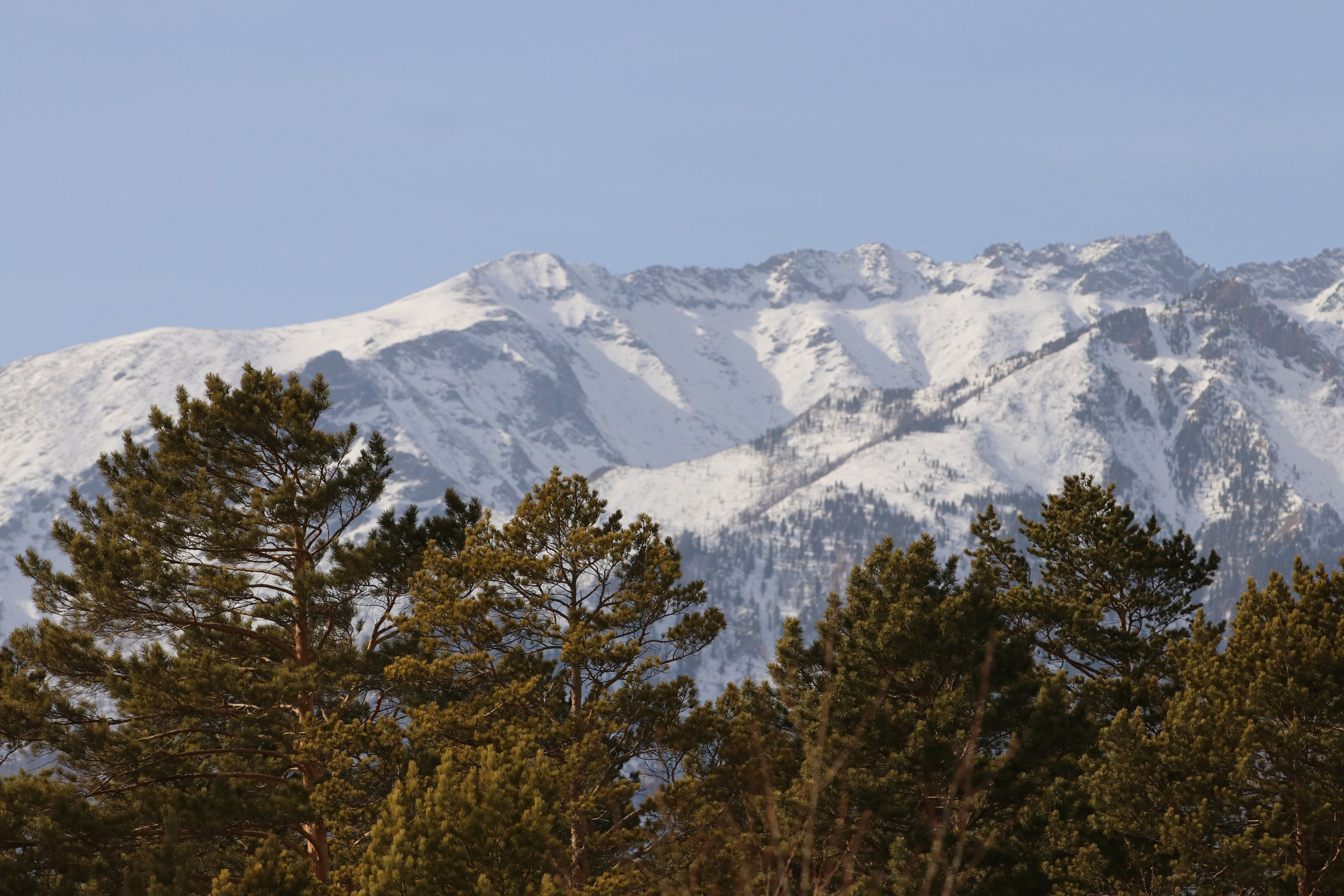 Аршан. Март 2023. Путешественник-фотограф из Санкт-Петербурга Татьяна Свистулина