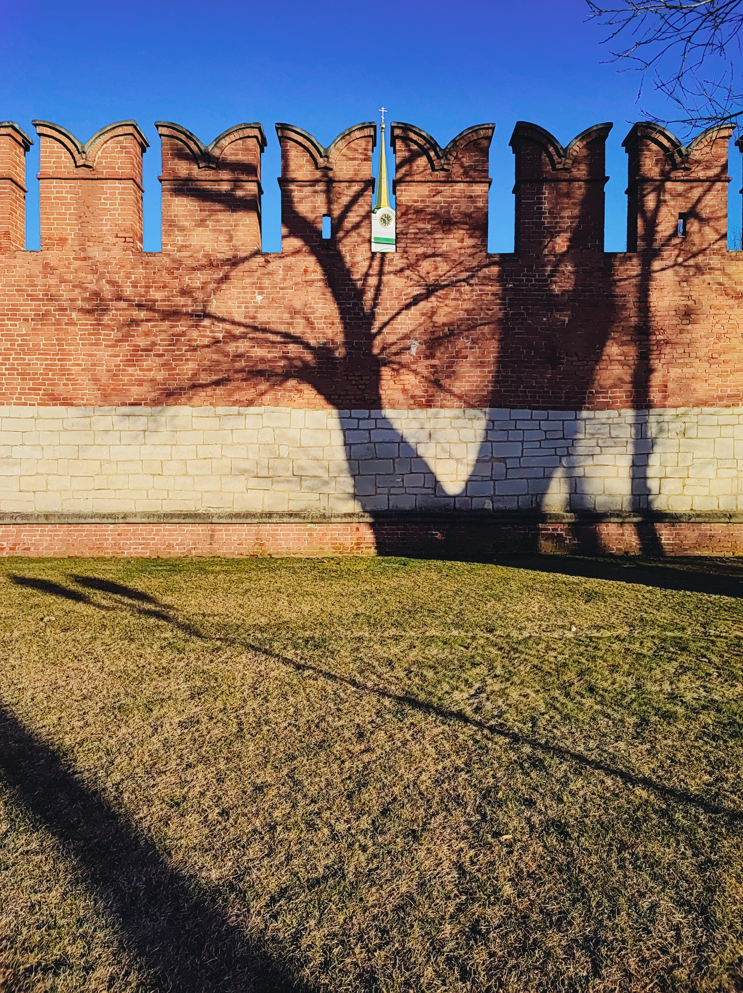 Намобилкус тульский. Репортажный фотограф Алексей Пирязев