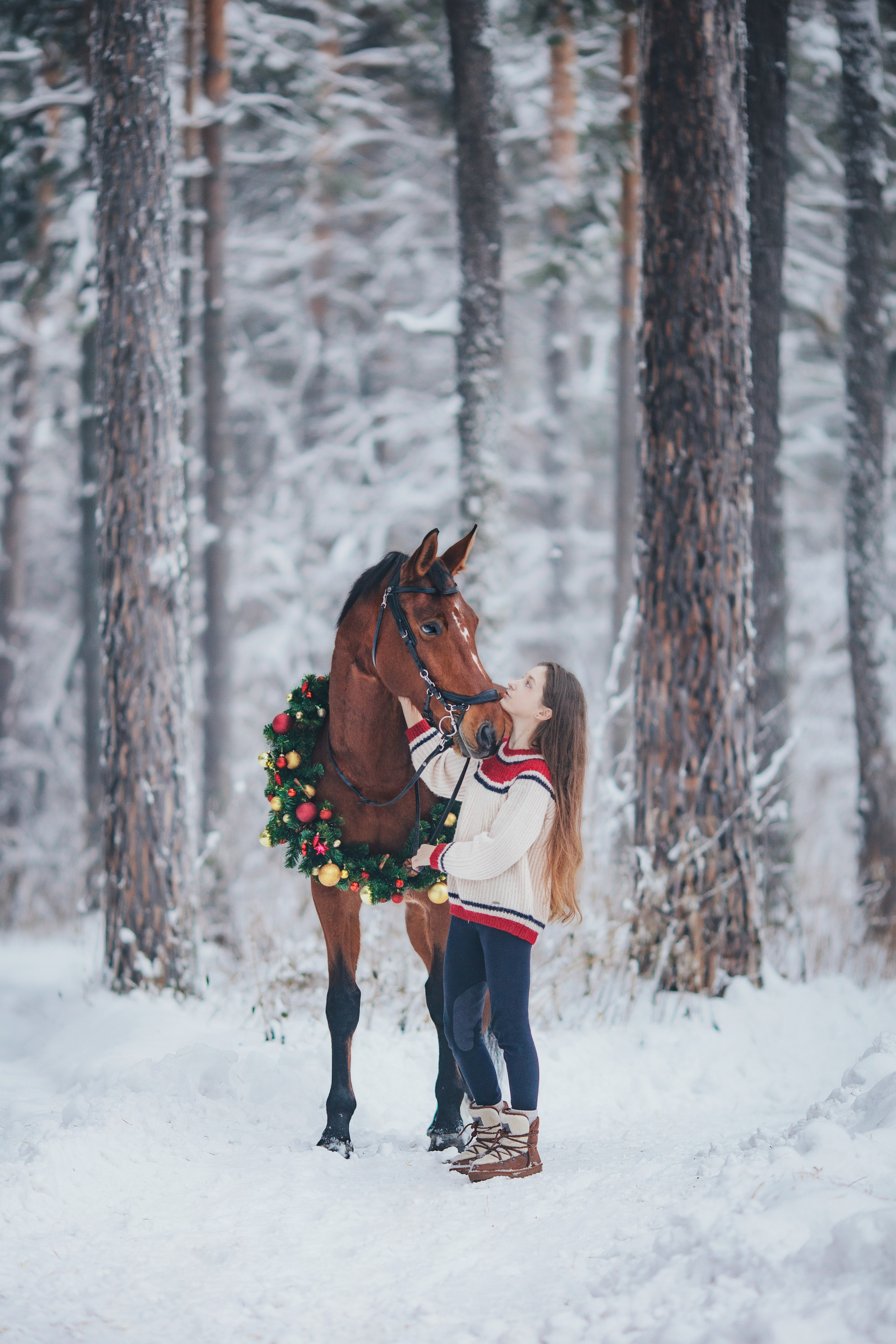 Фотосессии с лошадьми. Главная