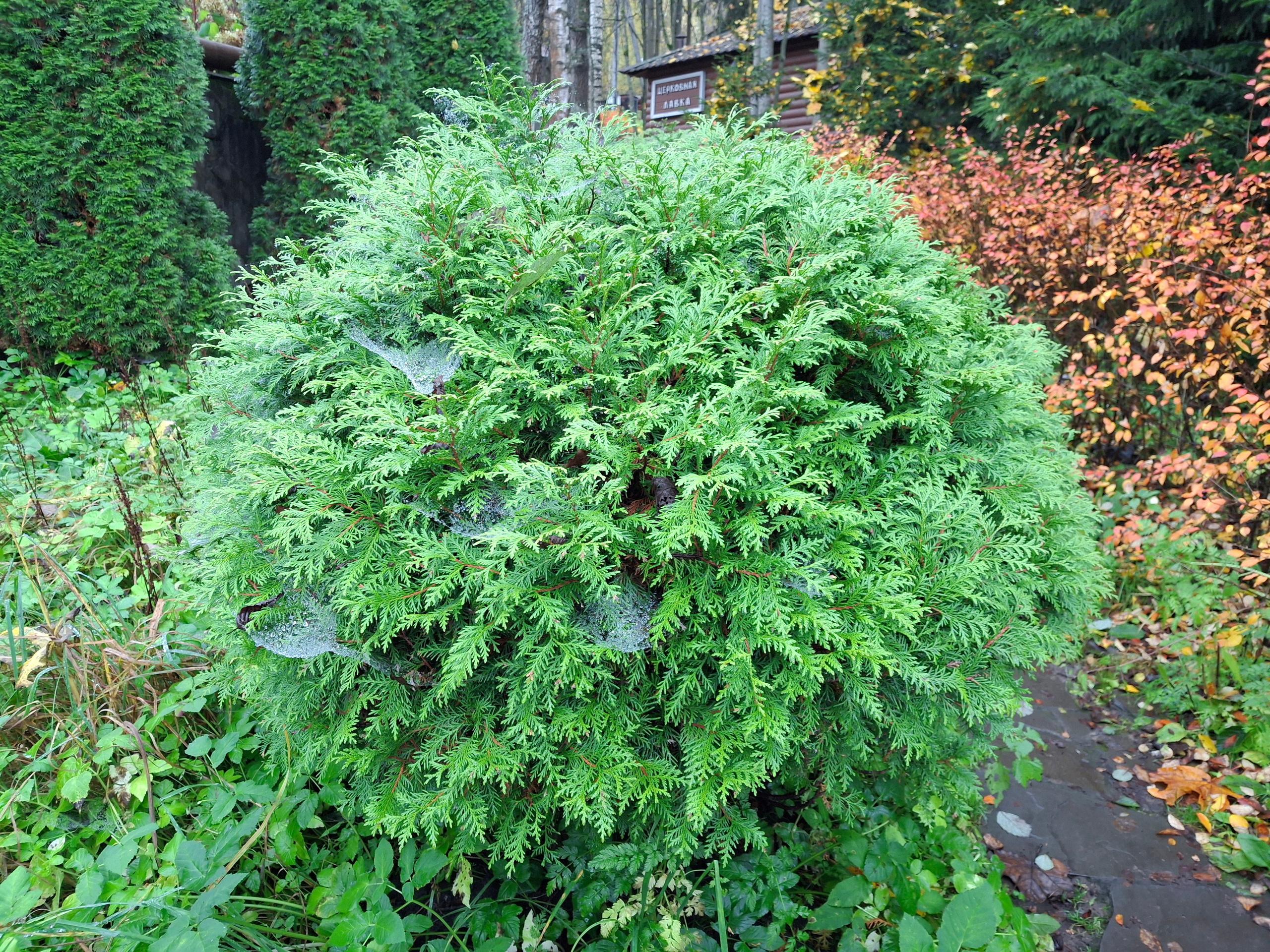Последняя поездка. Игорь Жучков. Россия увиденная глазами путешествующего фотографа