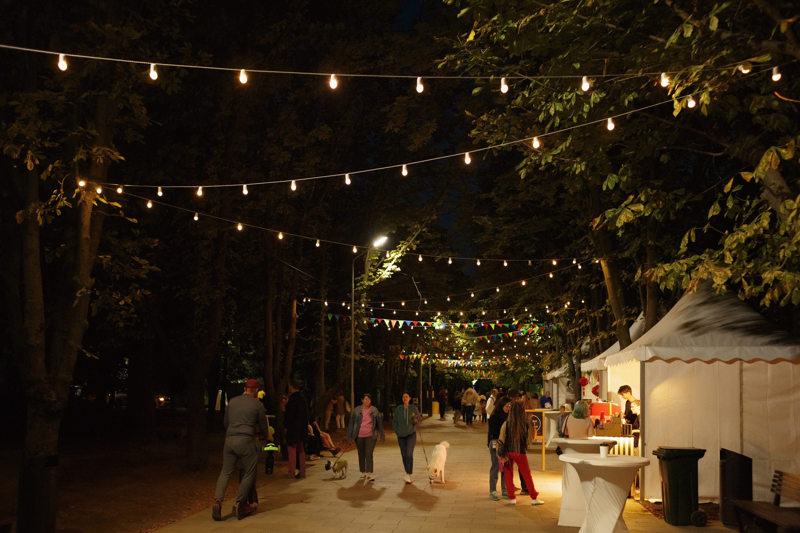 Фотографии фестиваля в Приморском парке Таганрога. Свадебный и семейный фотограф в Таганроге Бакарюк Антон