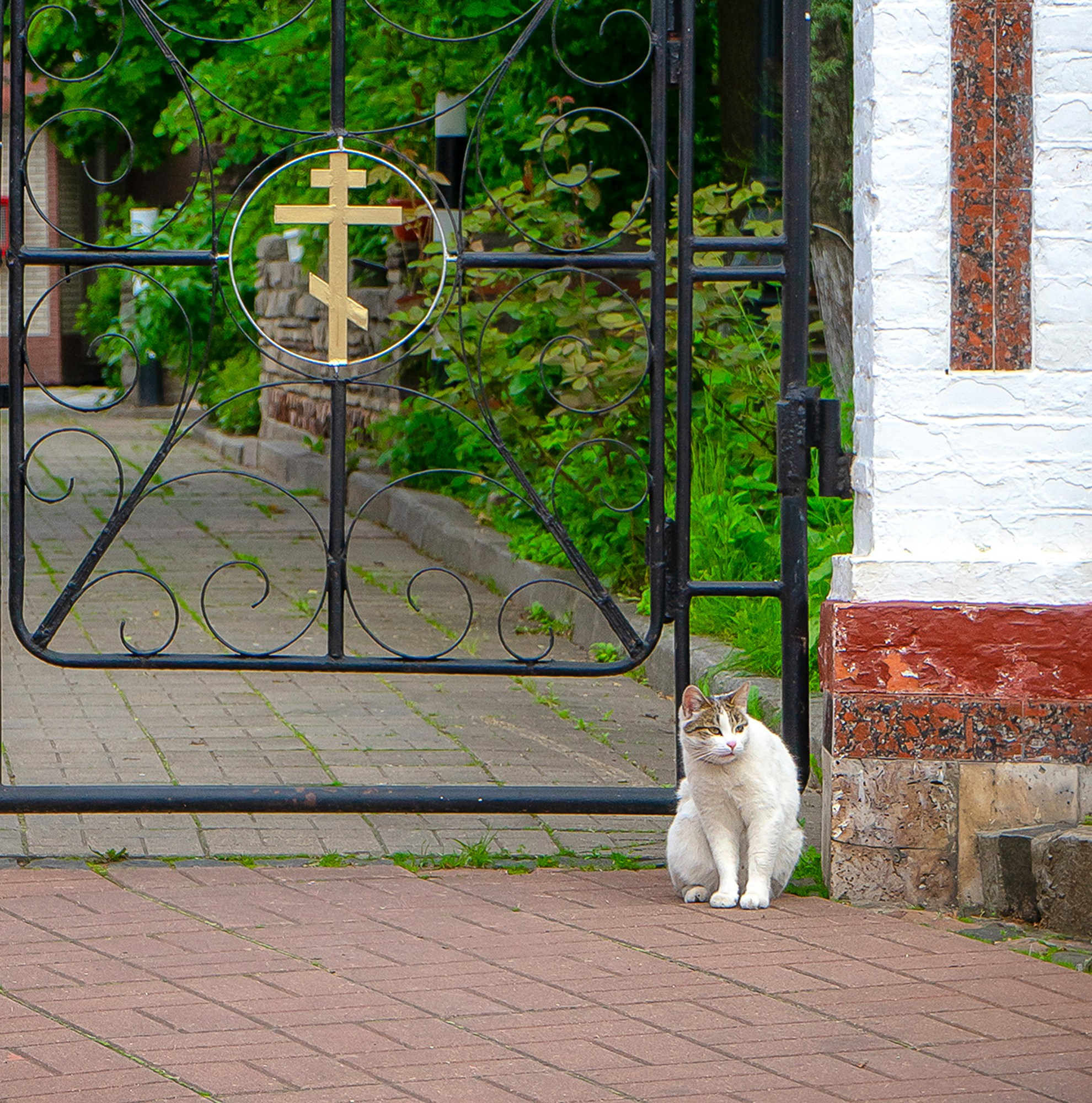 Москва. Fotolux