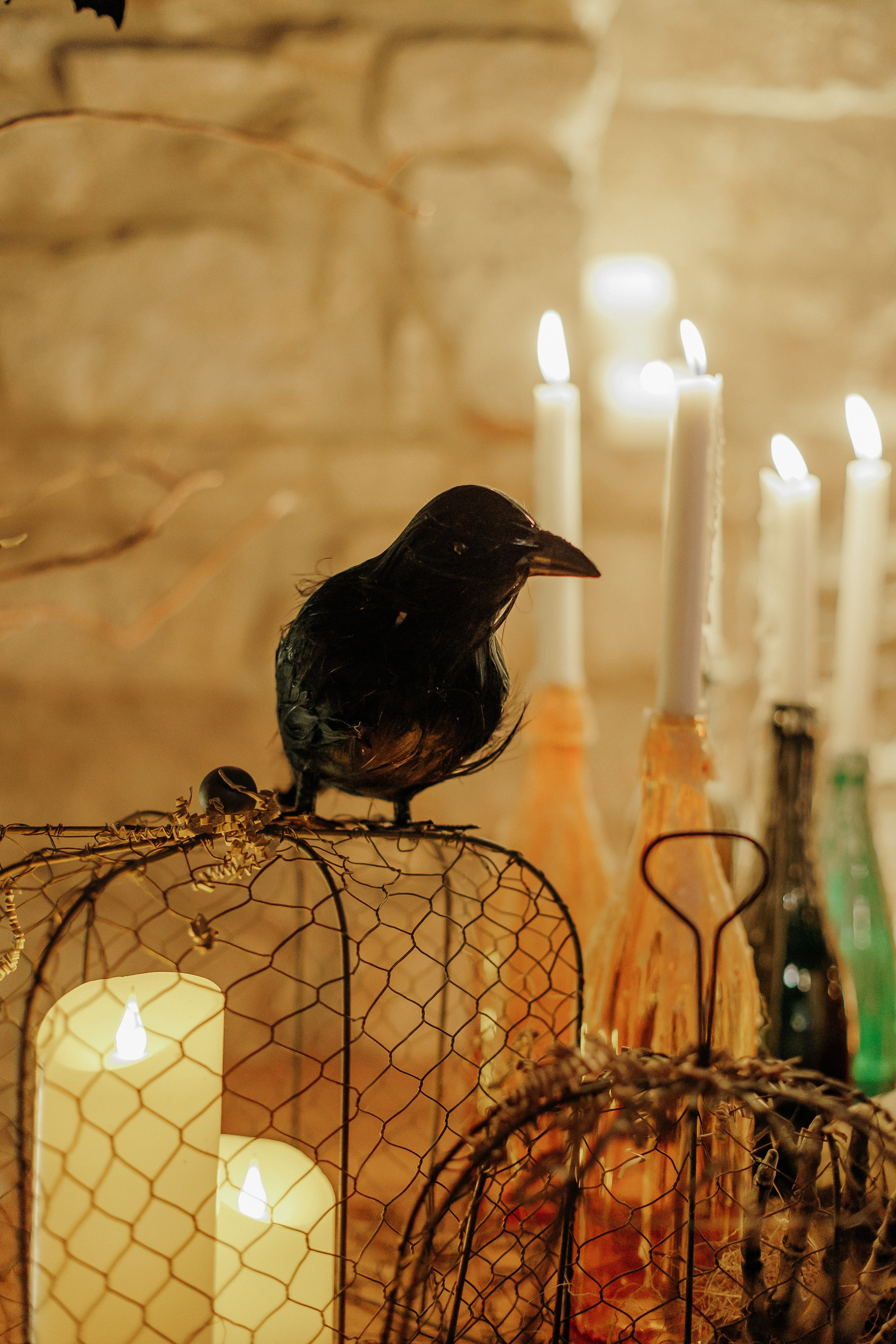 Halloween party. Фотограф на Кипре Наталья Годына