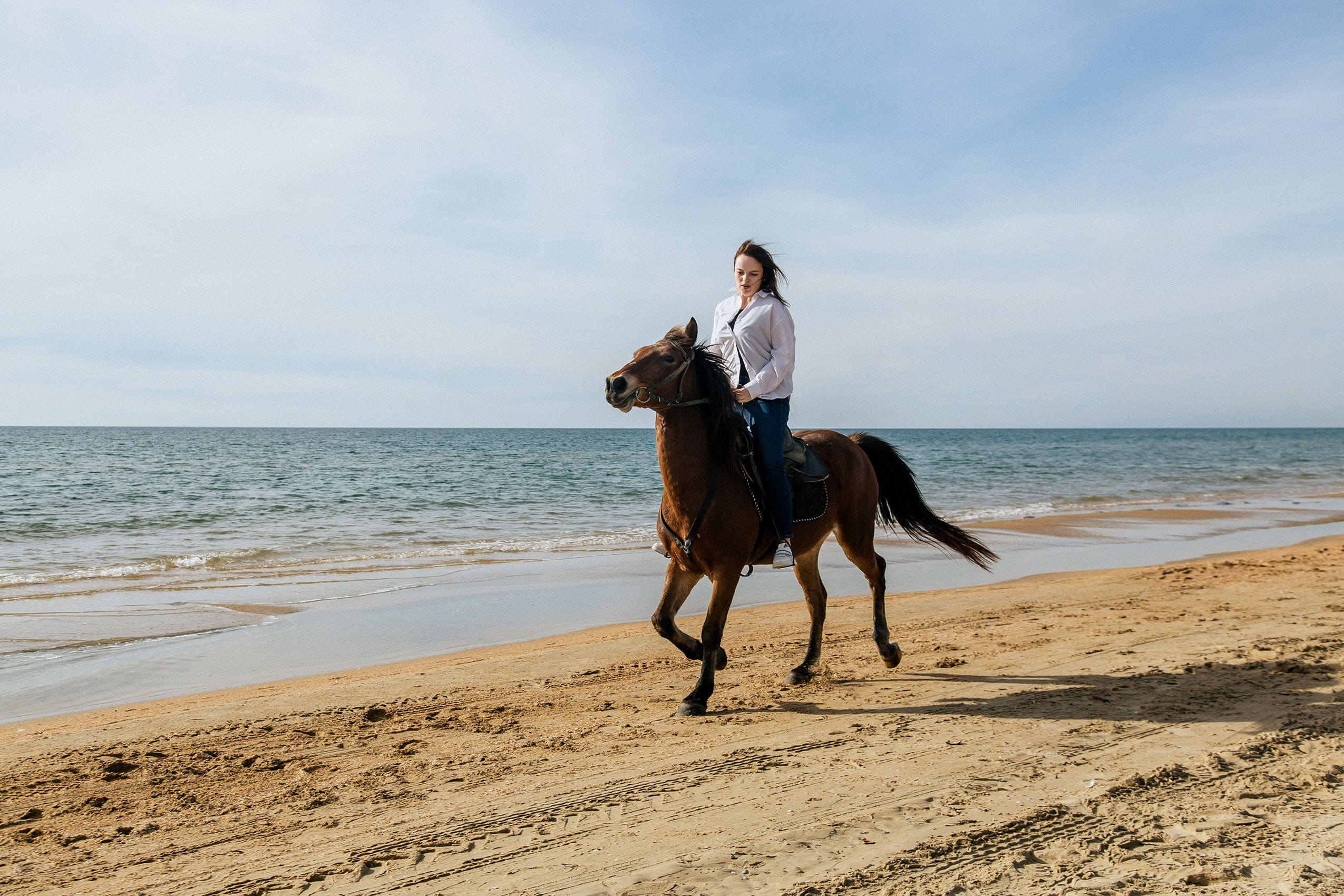 Скачки галопом верхом на лошади у моря