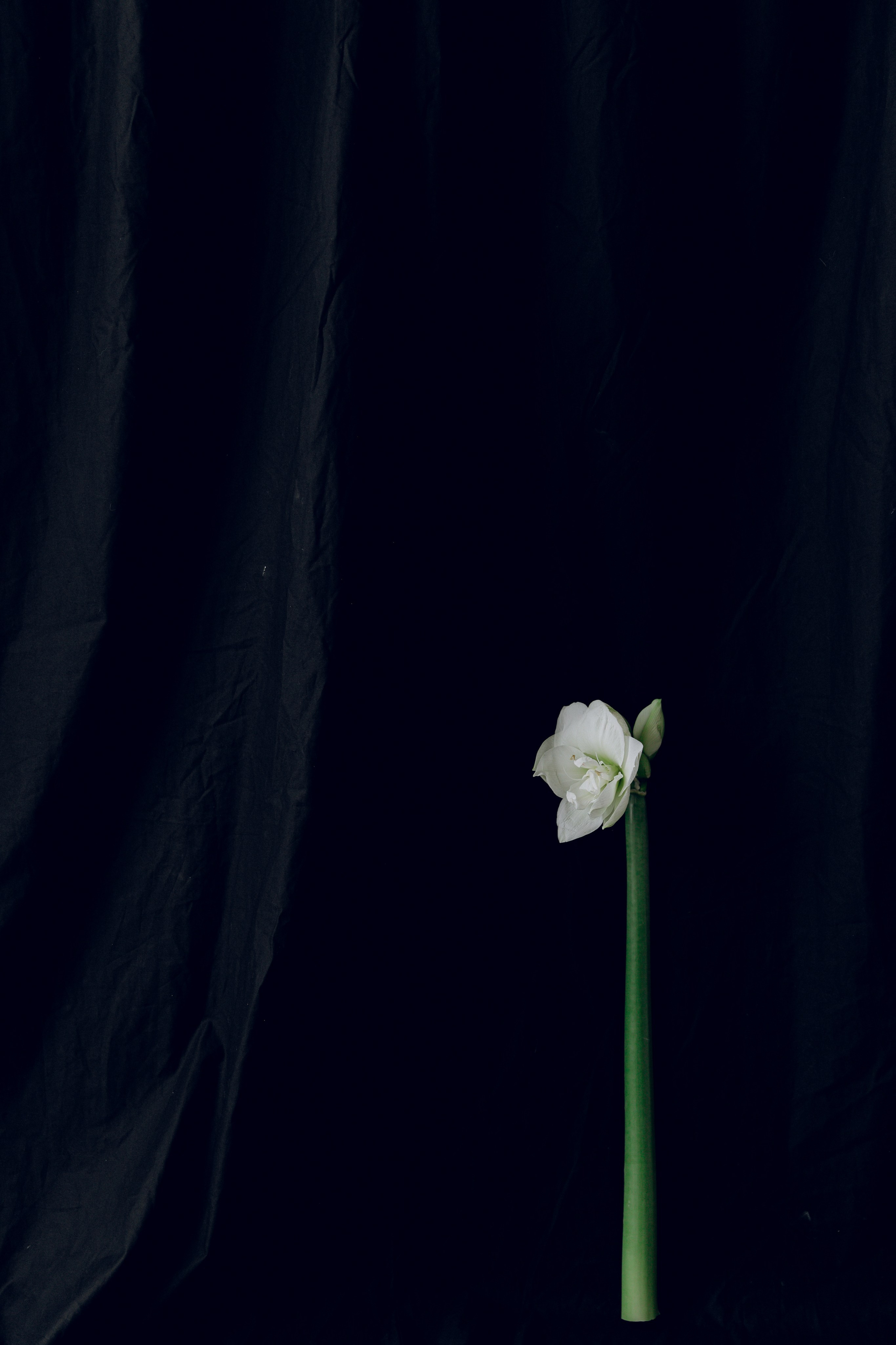 Жемчужина любви. Свадебный фотограф Казань| Фотограф Казань Зевакина Анастасия