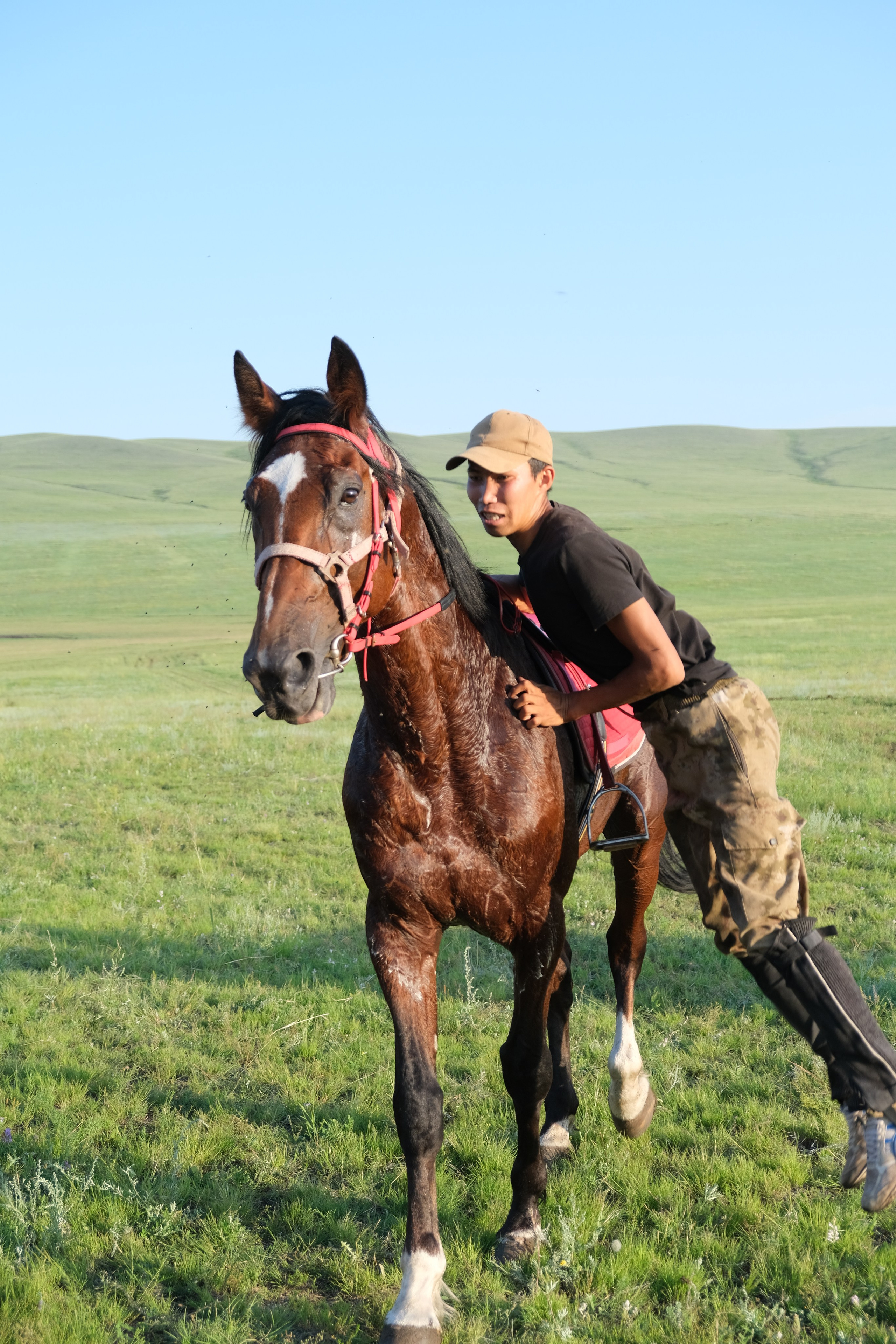 Зуун найман субаргын найр наадан. Сэсэг — дочь степи | семейный фотограф