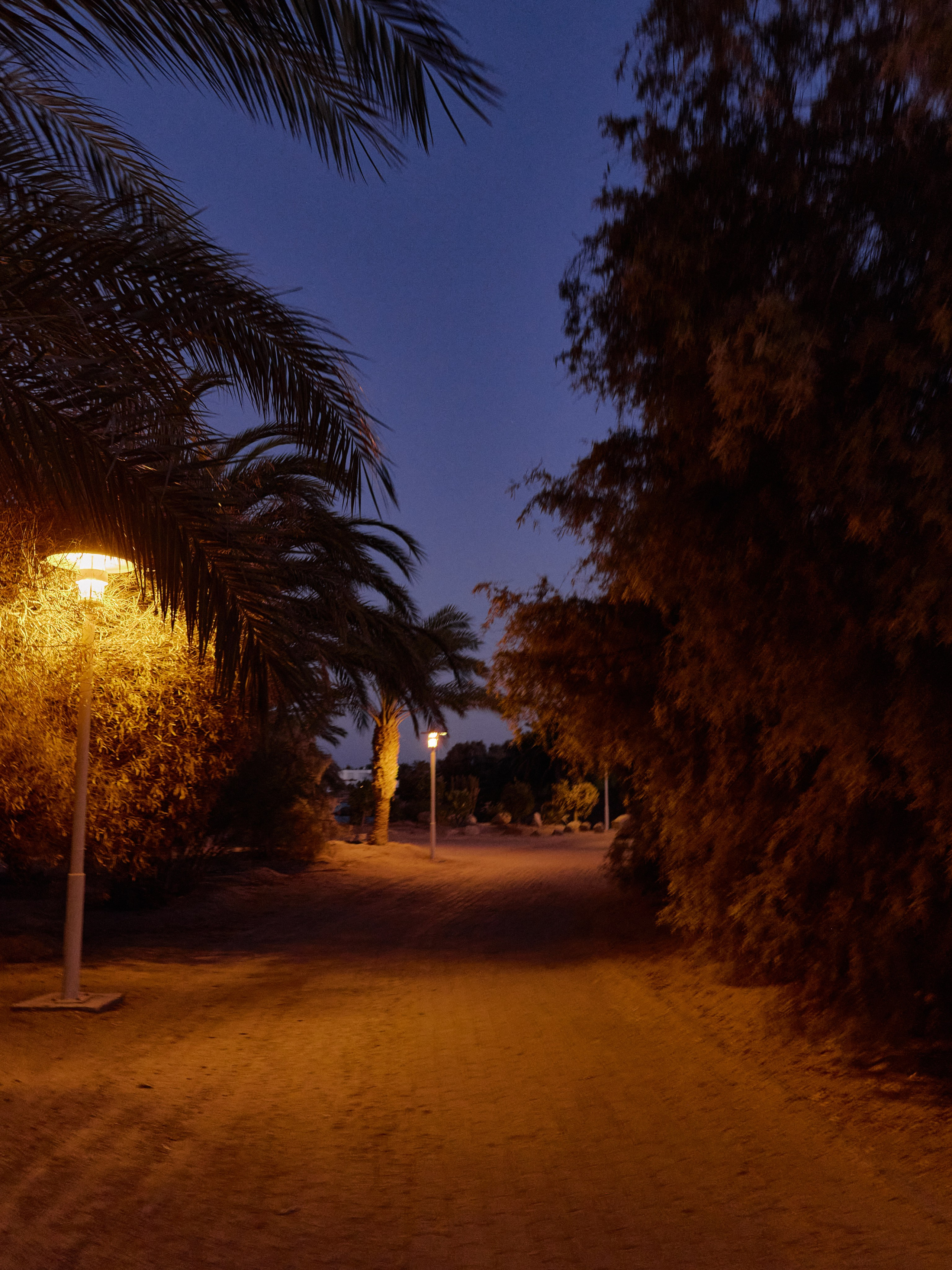 Другое 3. Jorgis — фотограф в Хургаде / обучение фотографии