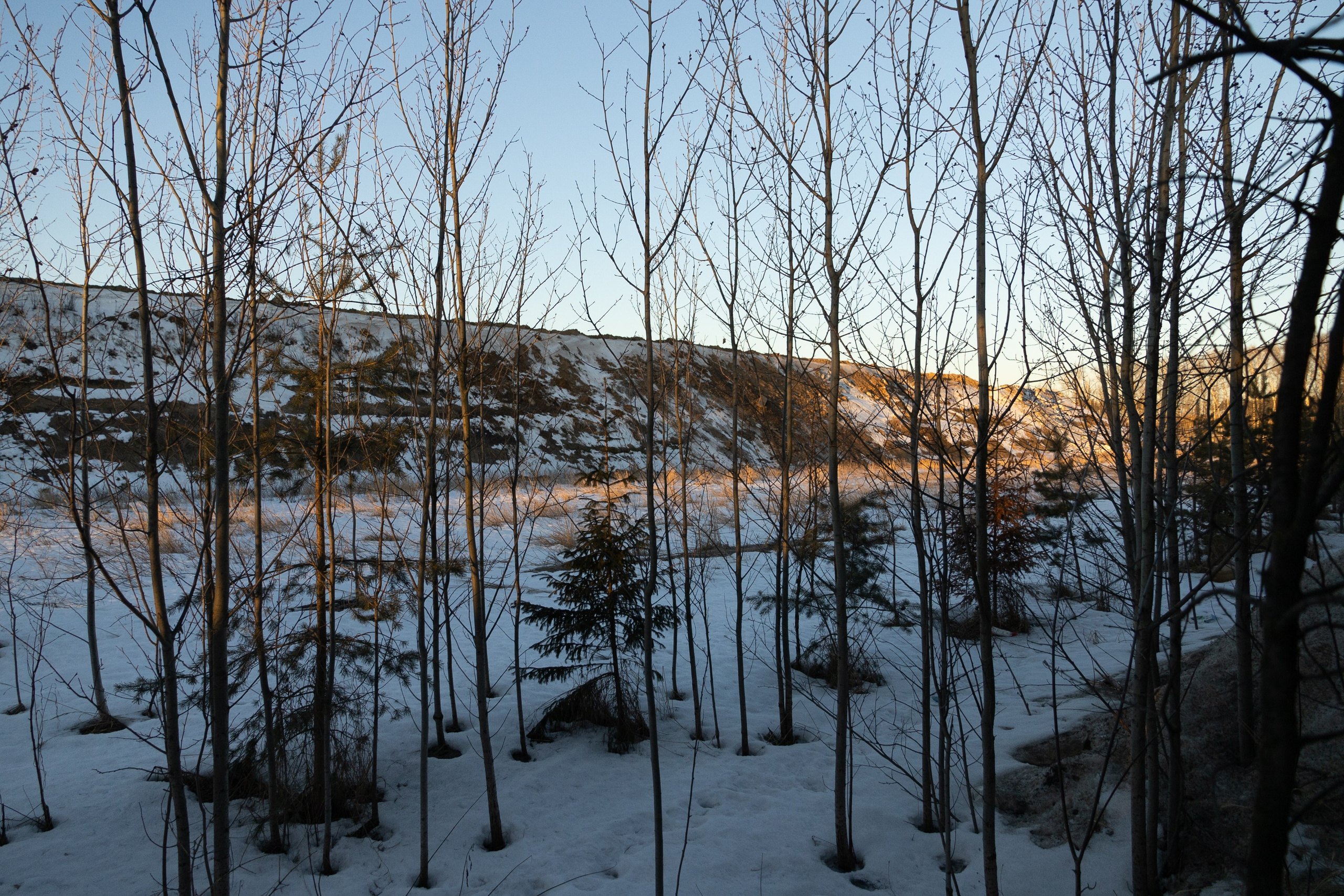 Я здесь живу. DASHA KALNINA