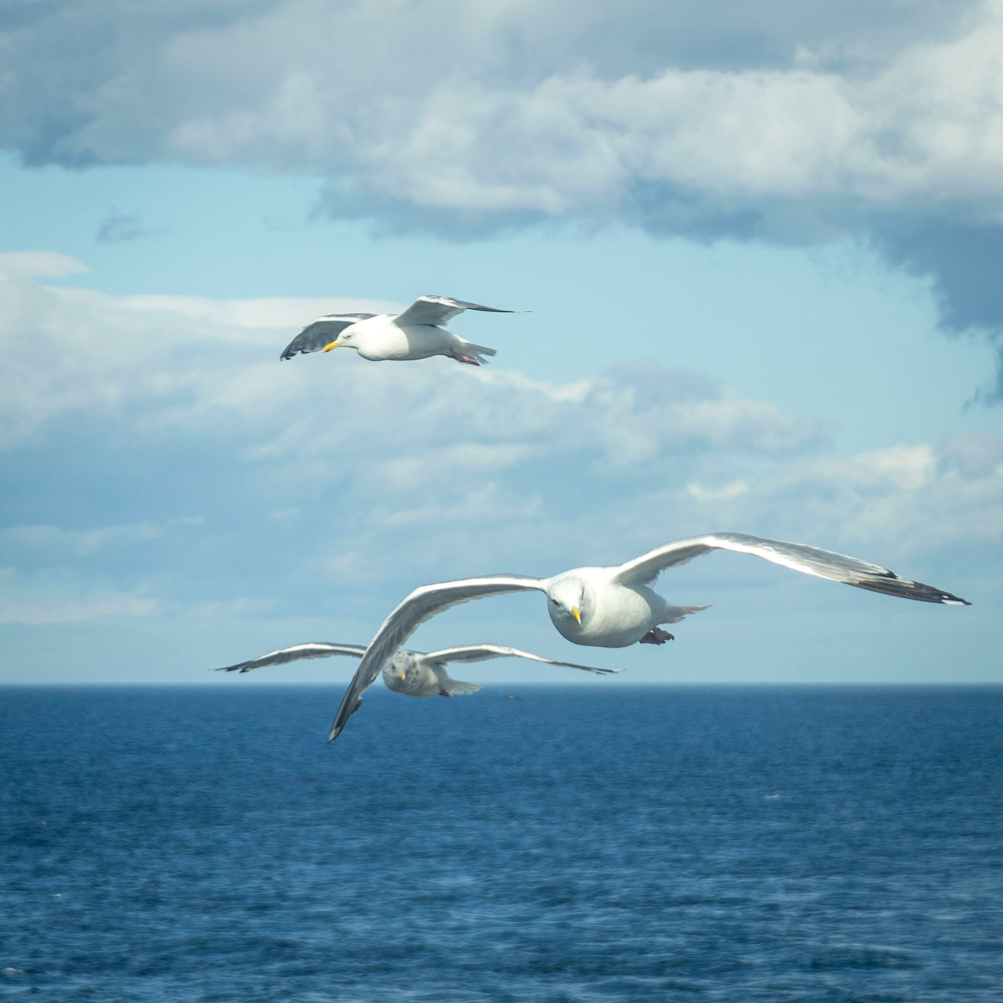 Когда я в море. Часть 2. Фотограф г. Владивосток