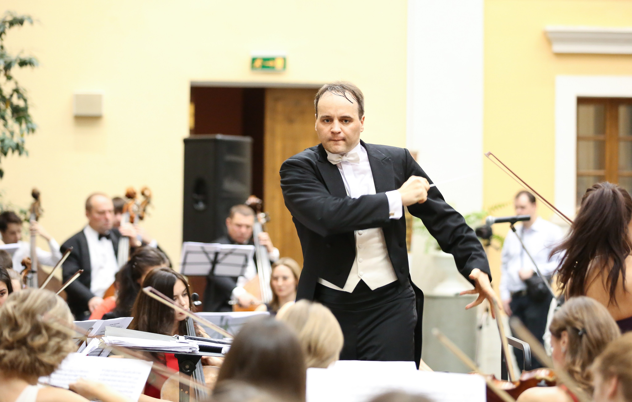 Концерт «Приглашение к танцу» в Музее Пушкина. Дарья Письменюк / Darya Leitstern — фотограф, музыкант, журналист, путешественник