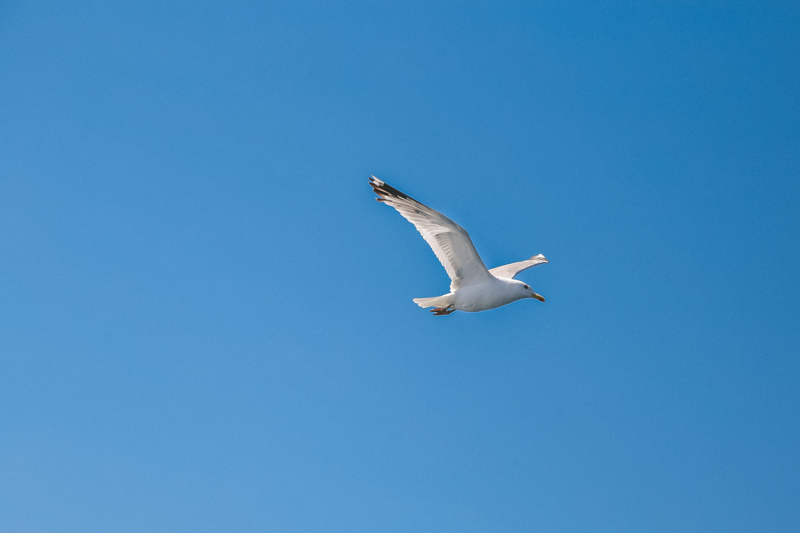 Байкал летний: легенды и святыни. Дарья Письменюк / Darya Leitstern — фотограф, музыкант, журналист, путешественник